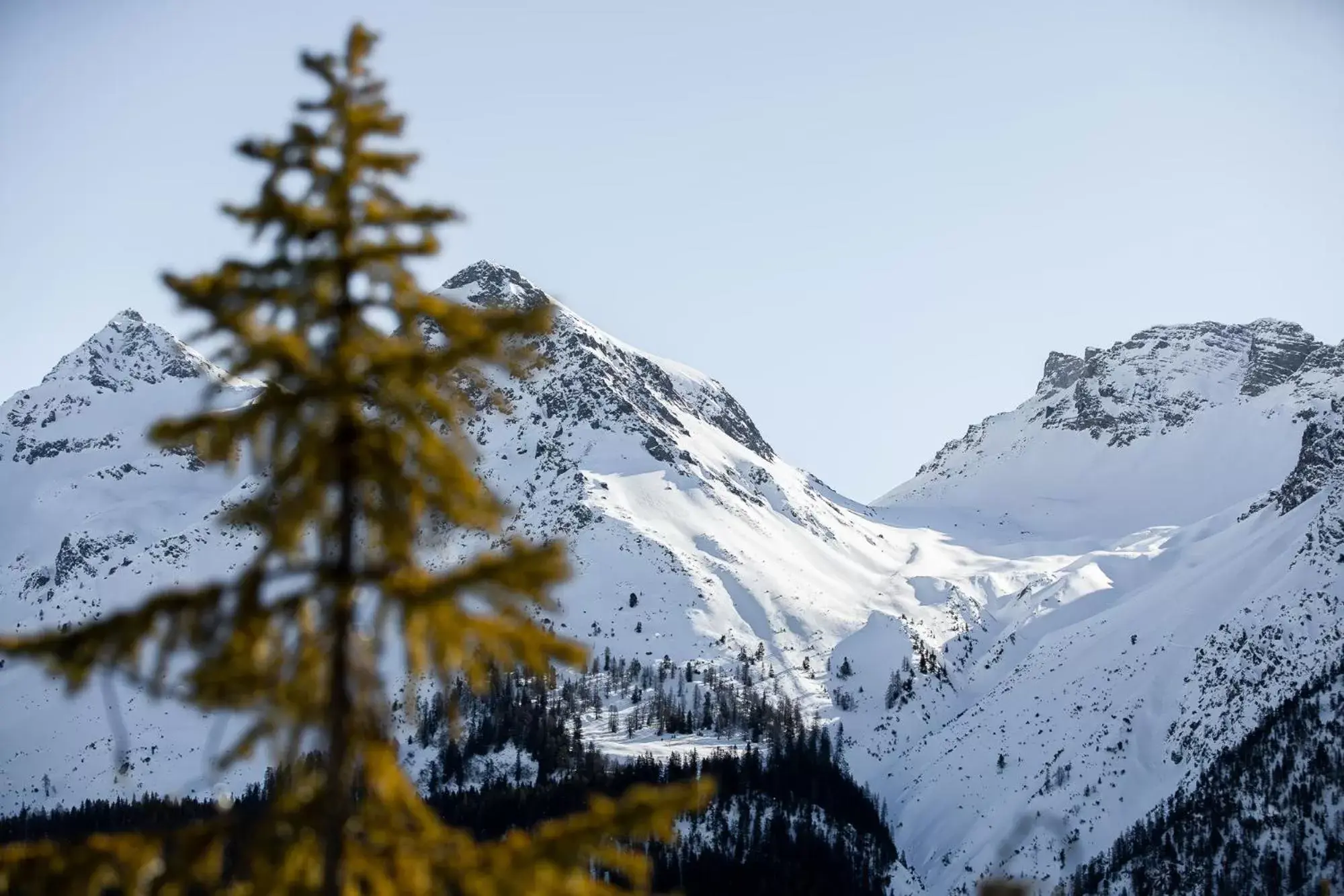 Mountain view, Winter in Waldhotel Arosa