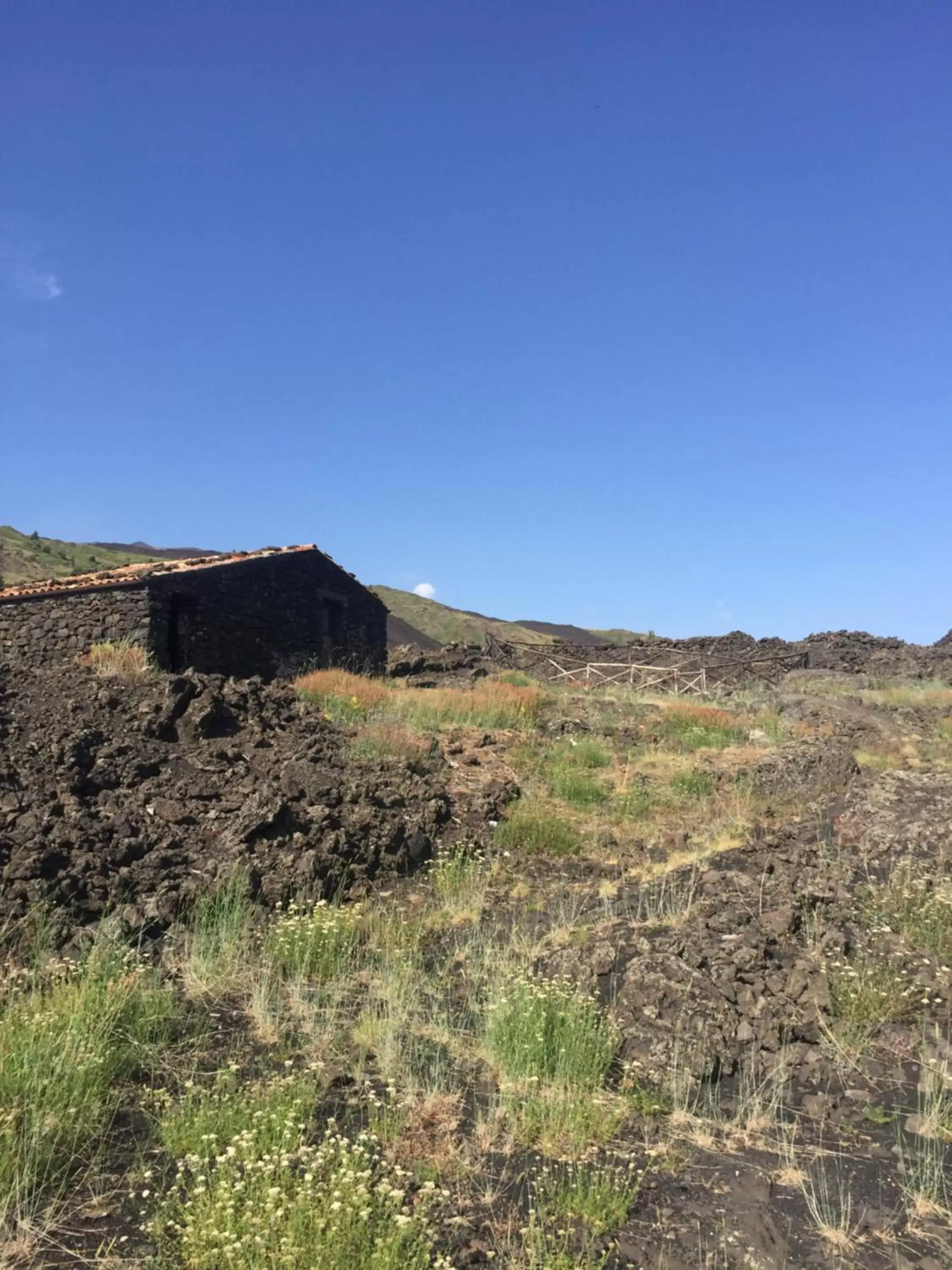 On site, Natural Landscape in Hotel Villa Dorata