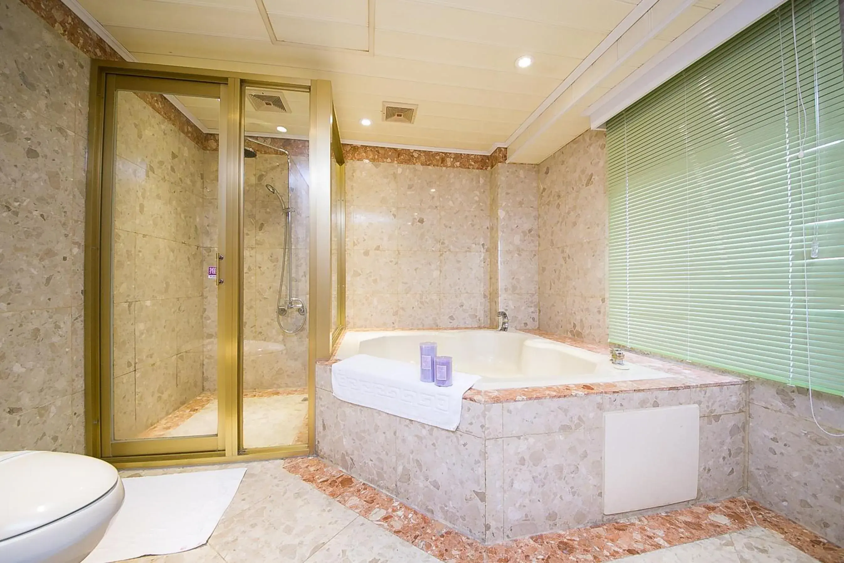 Shower, Bathroom in European Castle Hotel