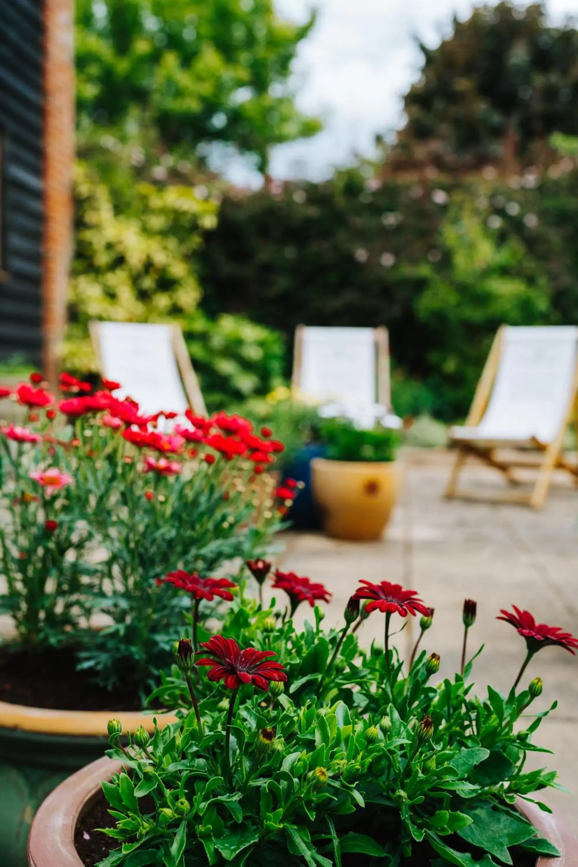 Garden in The Bull Inn