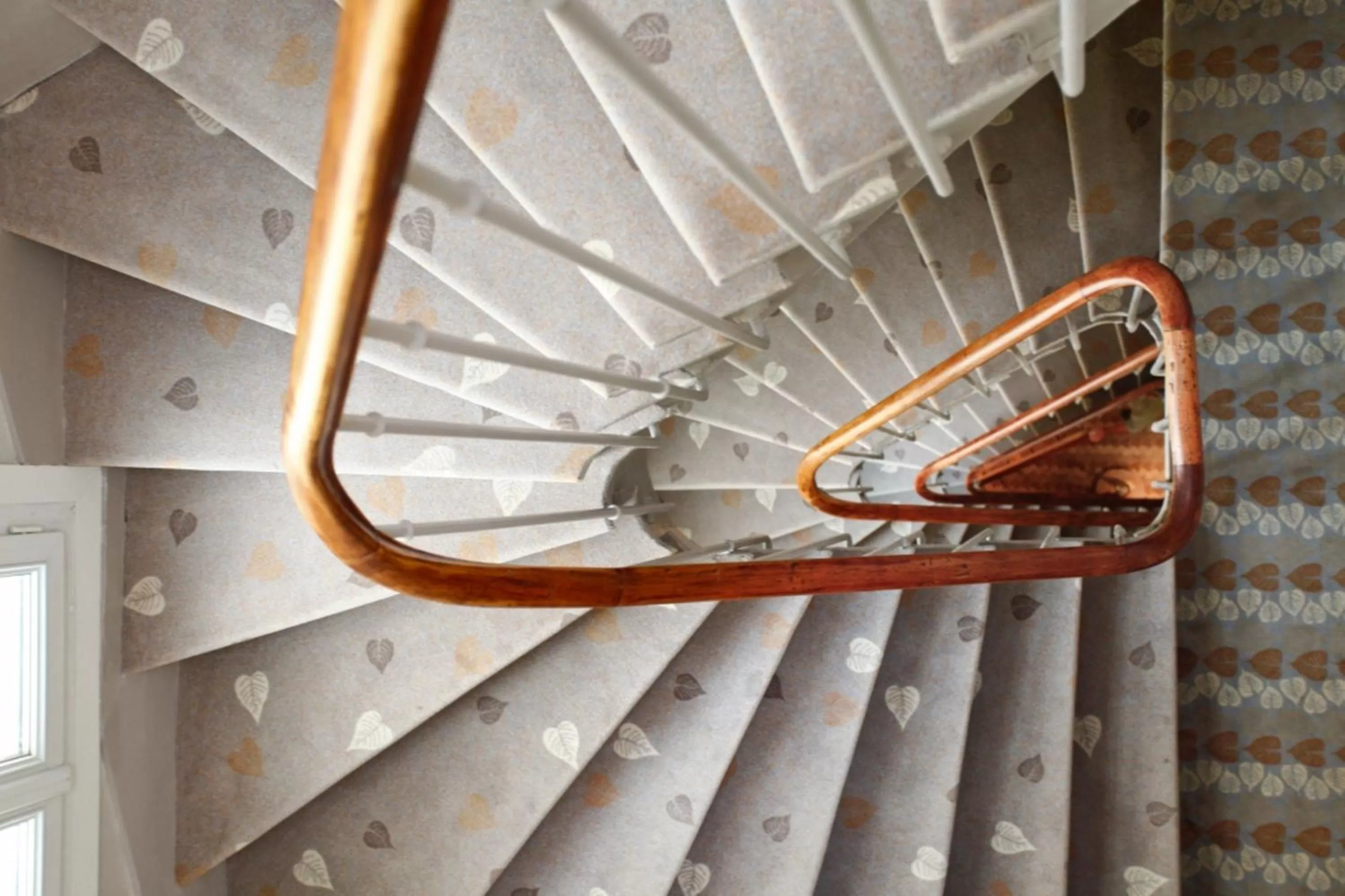 Area and facilities in Hôtel Du Printemps