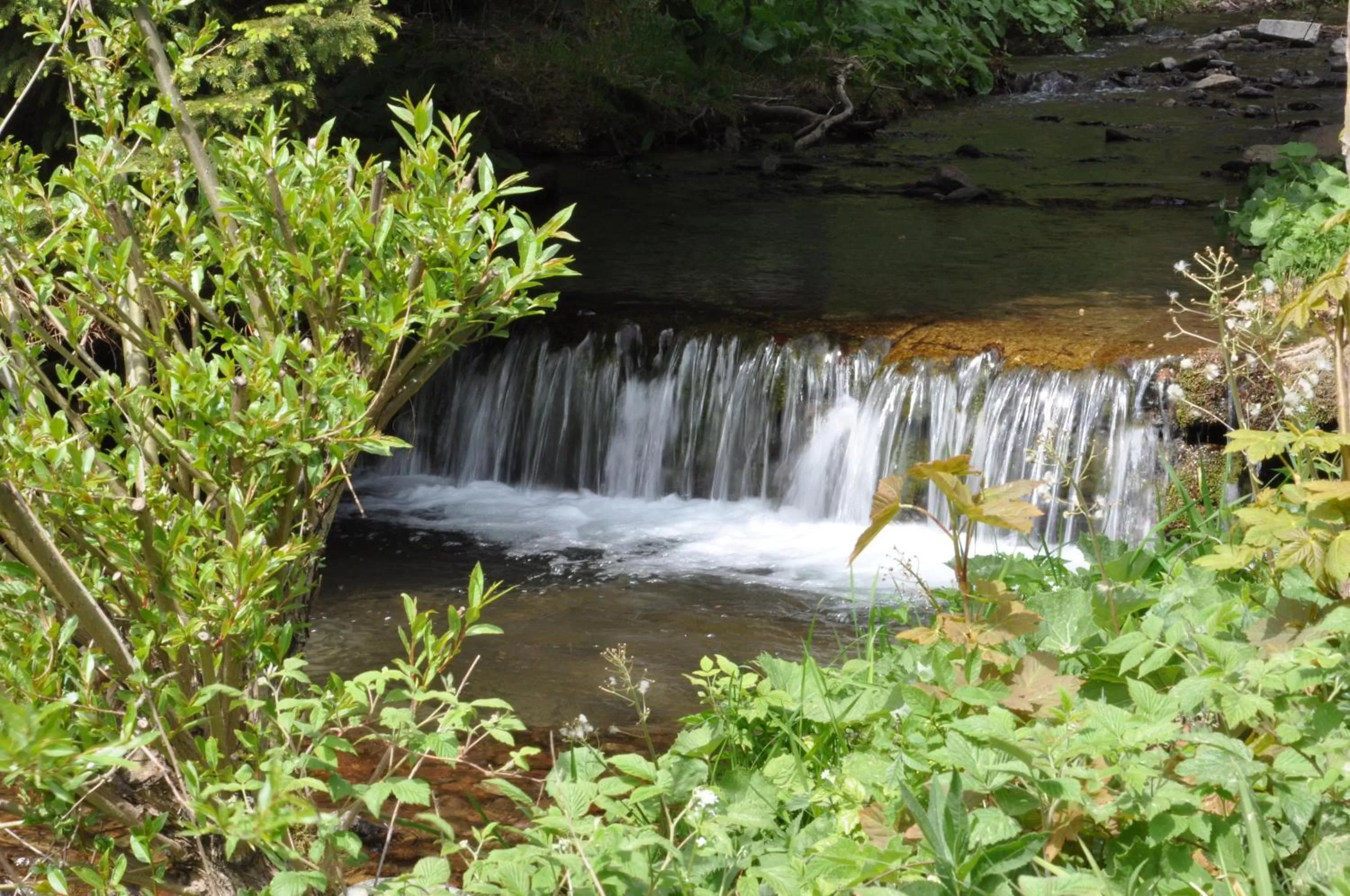 Facade/entrance in Hotel Waldmühle