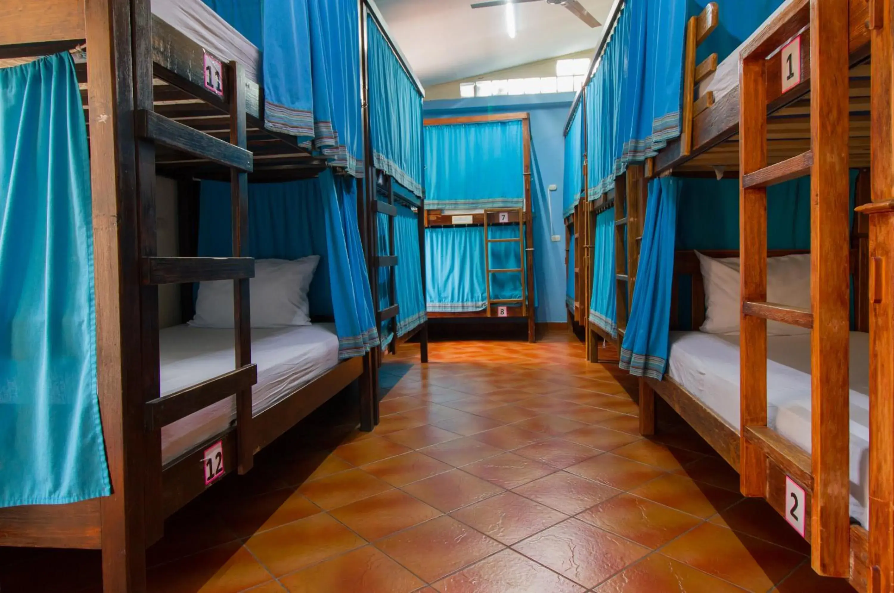 bunk bed in Hostal Antigua