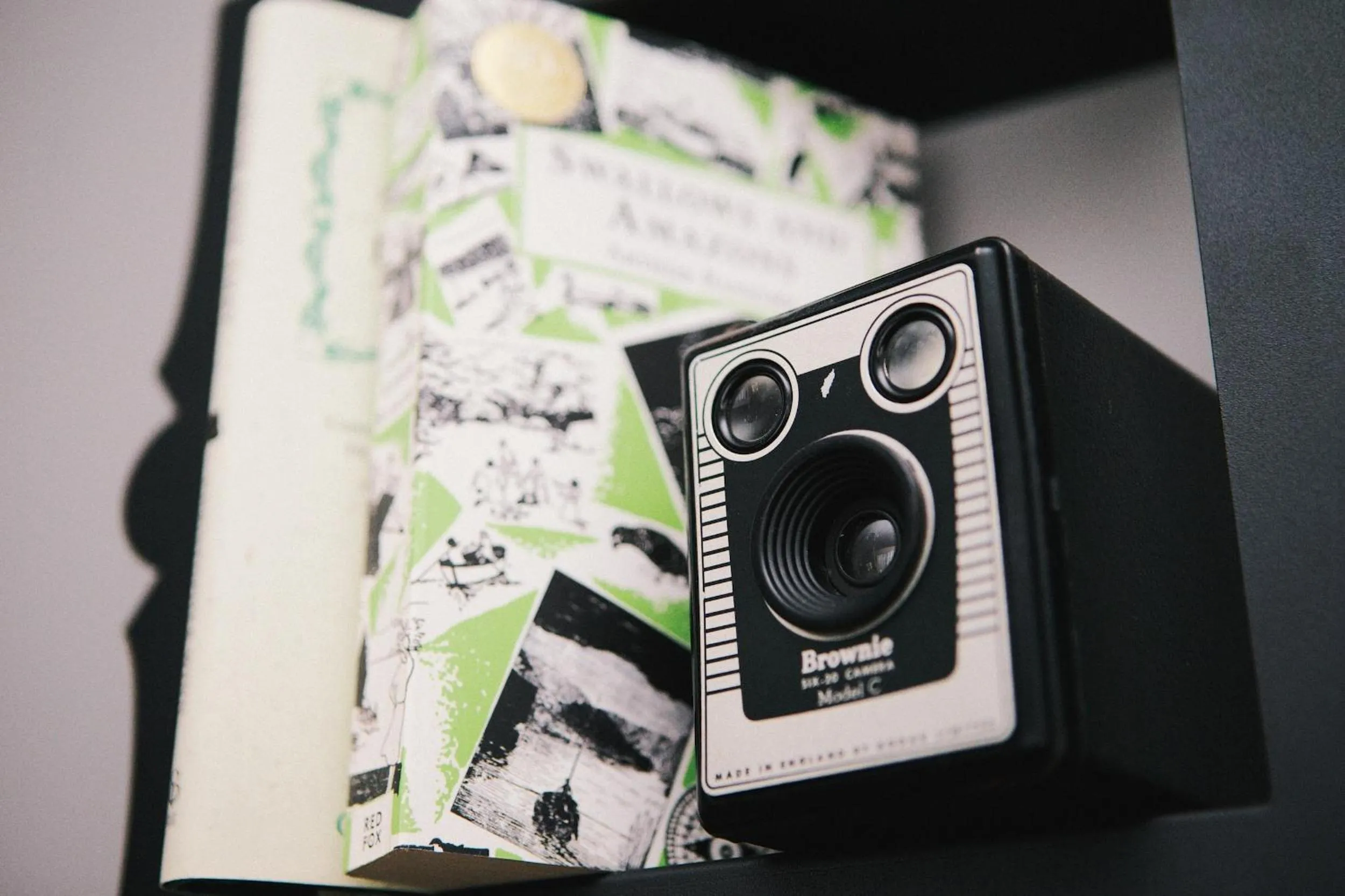 Decorative detail in Rum Doodle, Windermere B&B