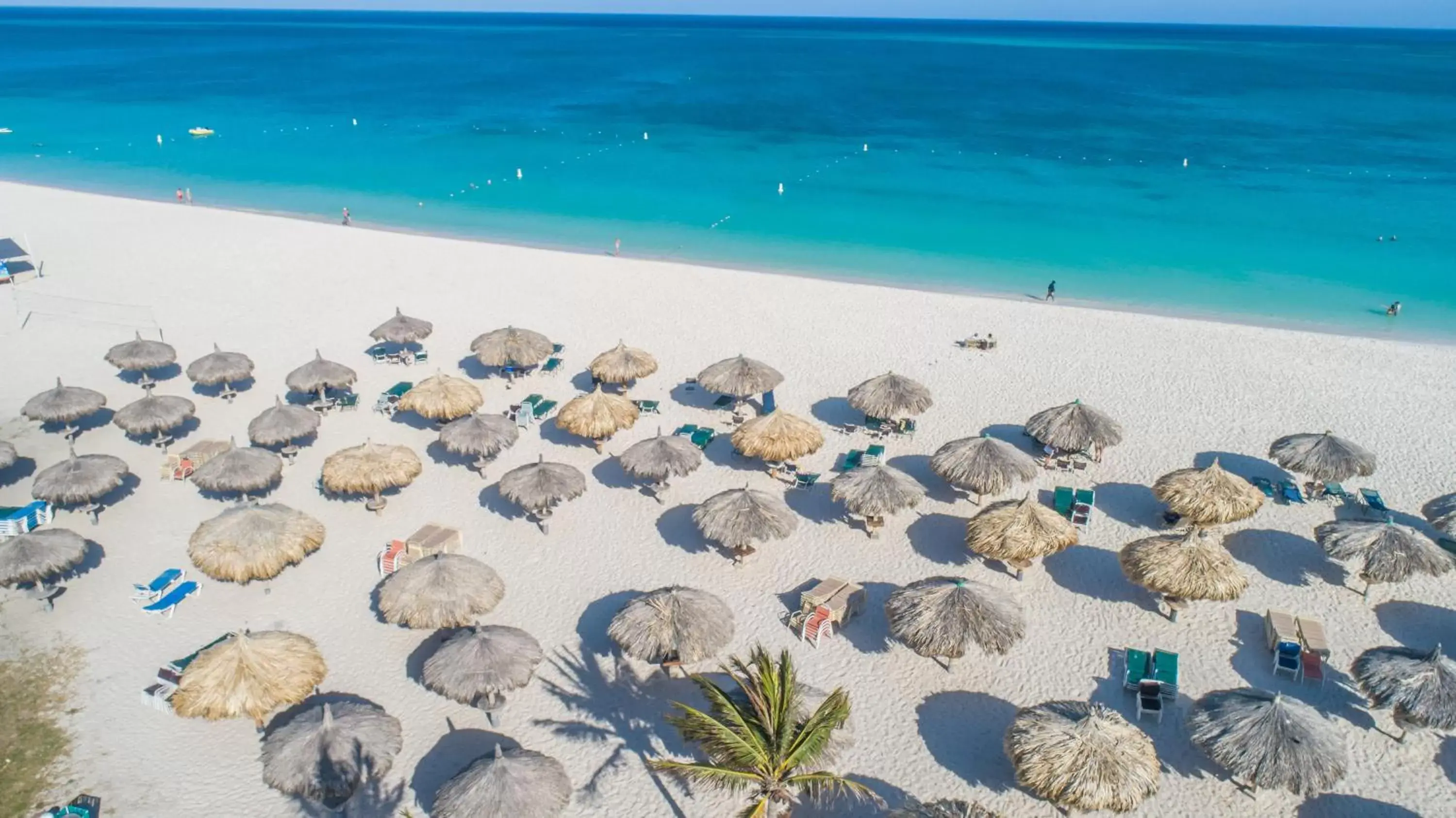 Beach in Eagle Aruba Resort & Casino