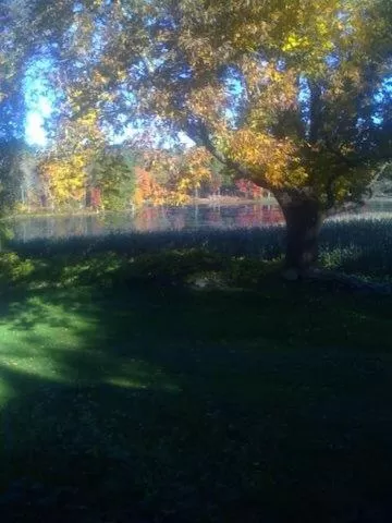 Inn at Fox Hill Farm