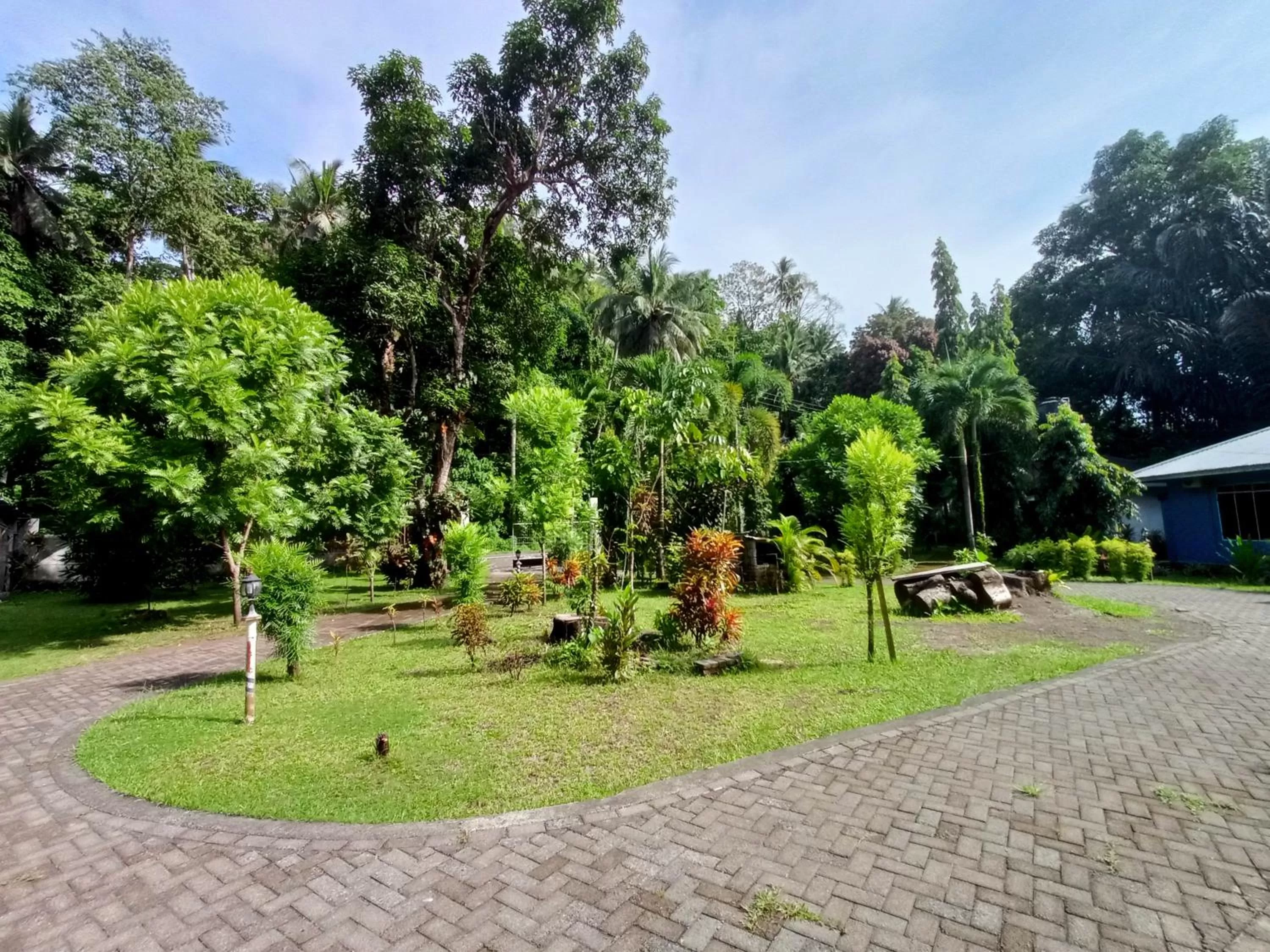 Garden view in Tangkoko Lodge