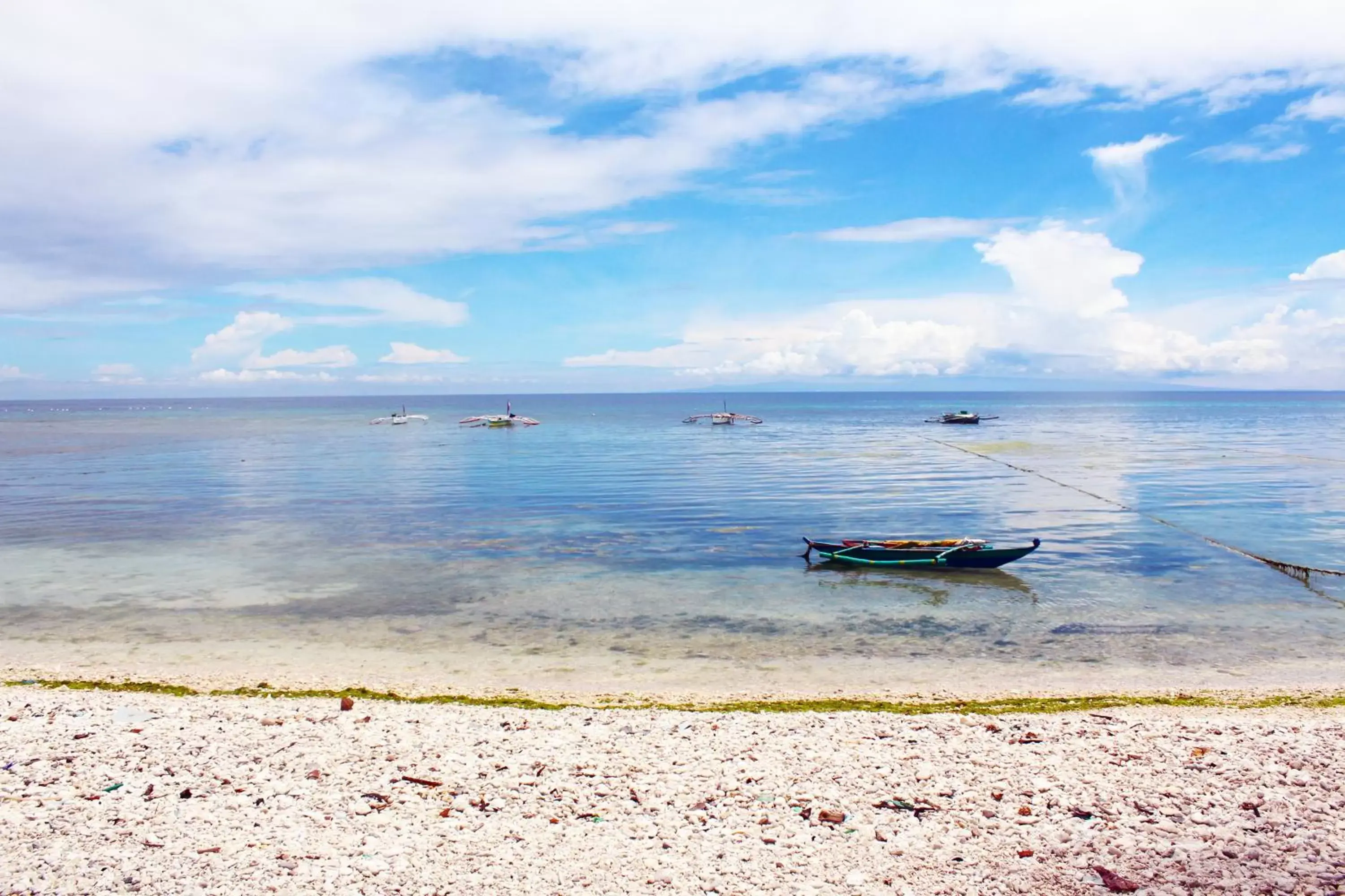 Activities, Beach in Luna Oslob Travellers Inn