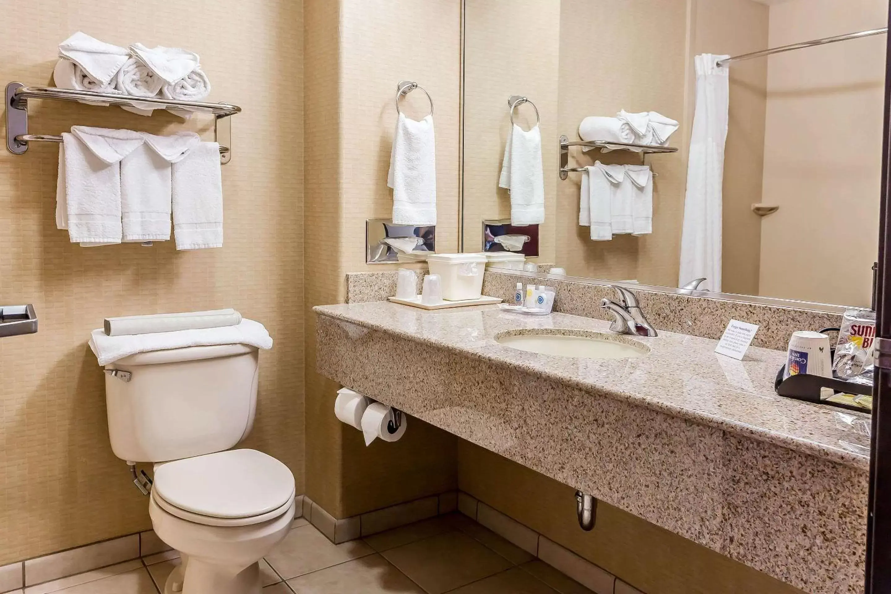 Bathroom in Comfort Inn & Suites Airport Reno