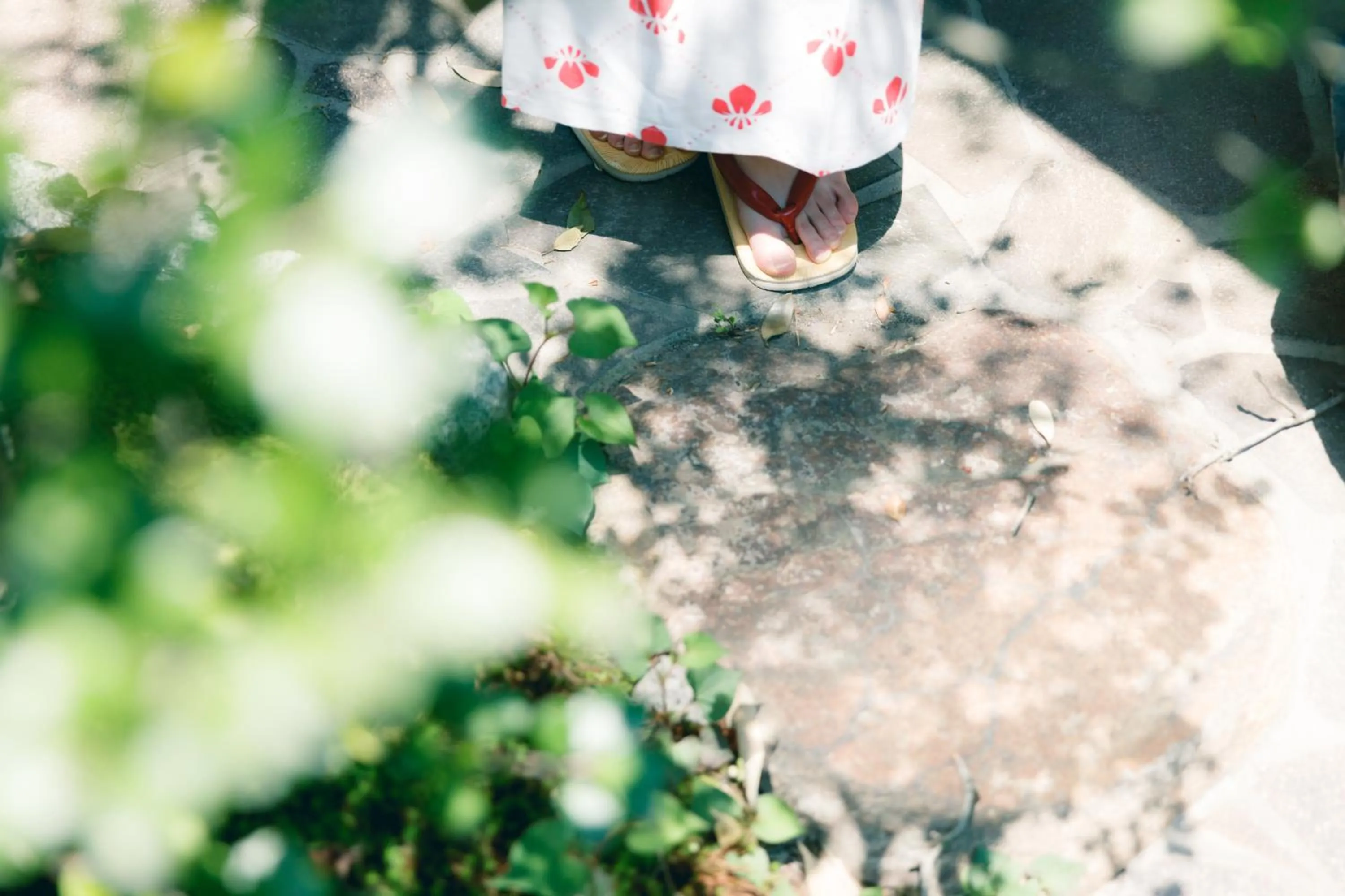 Area and facilities in Rurikoh