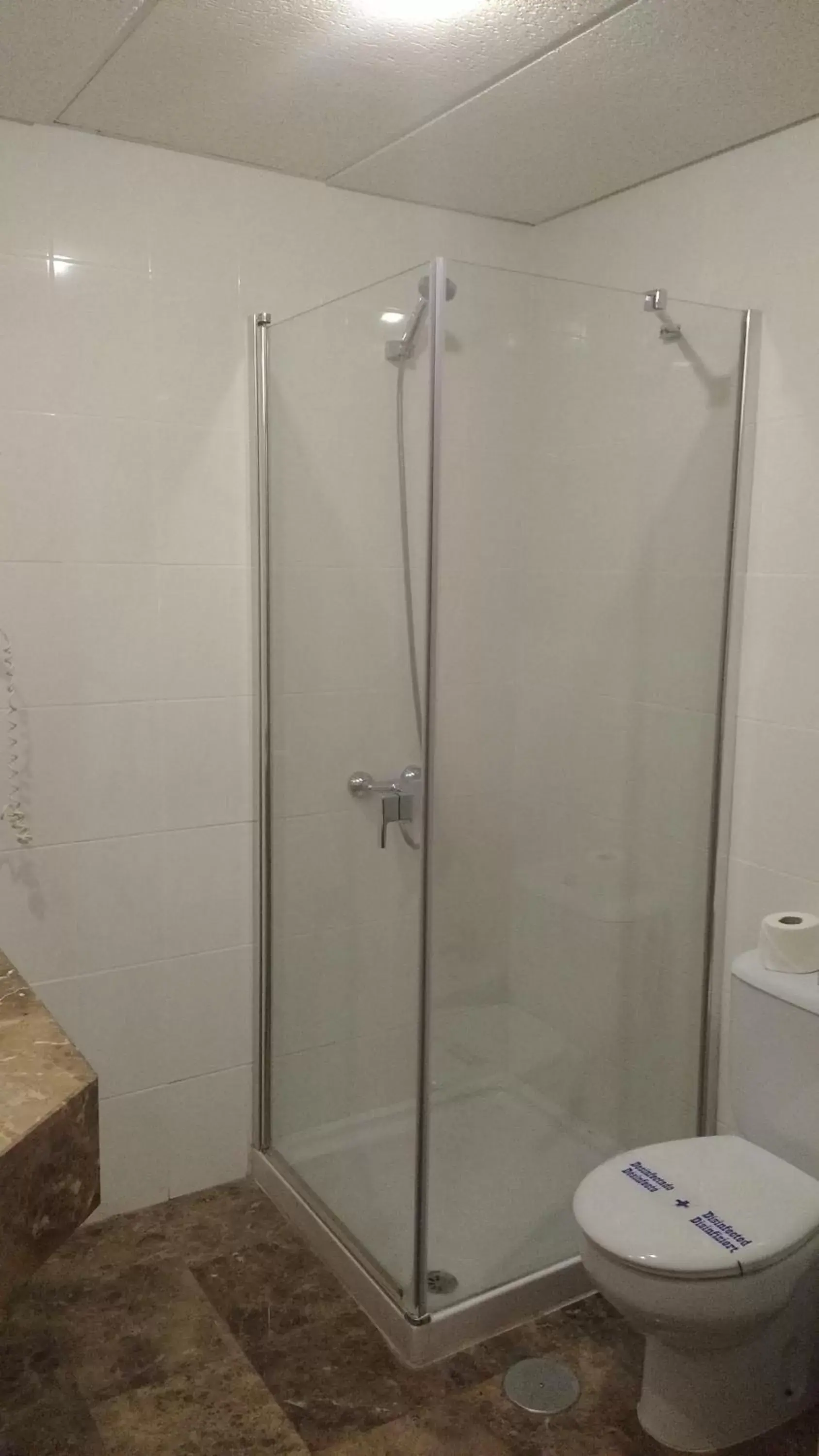 Shower, Bathroom in Hotel Santa Rosa