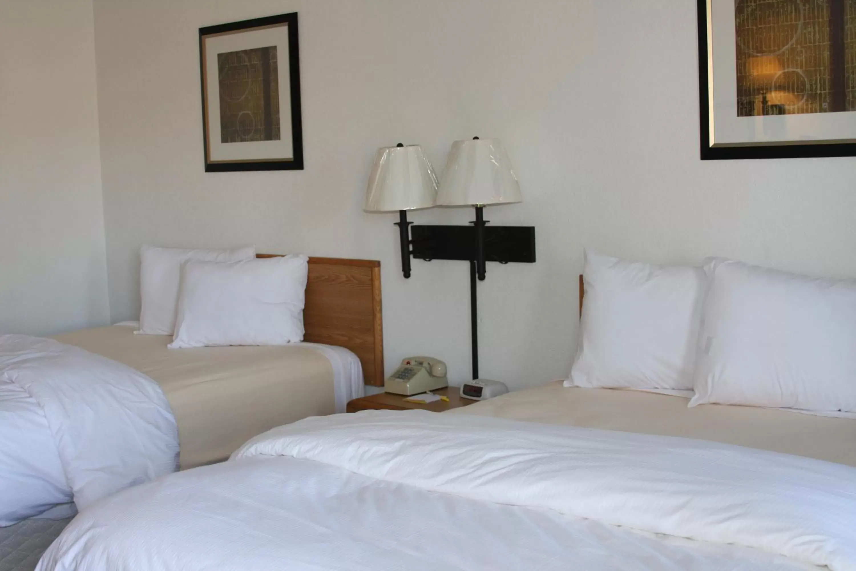 Bedroom, Bed in Days Inn & Suites by Wyndham Needles