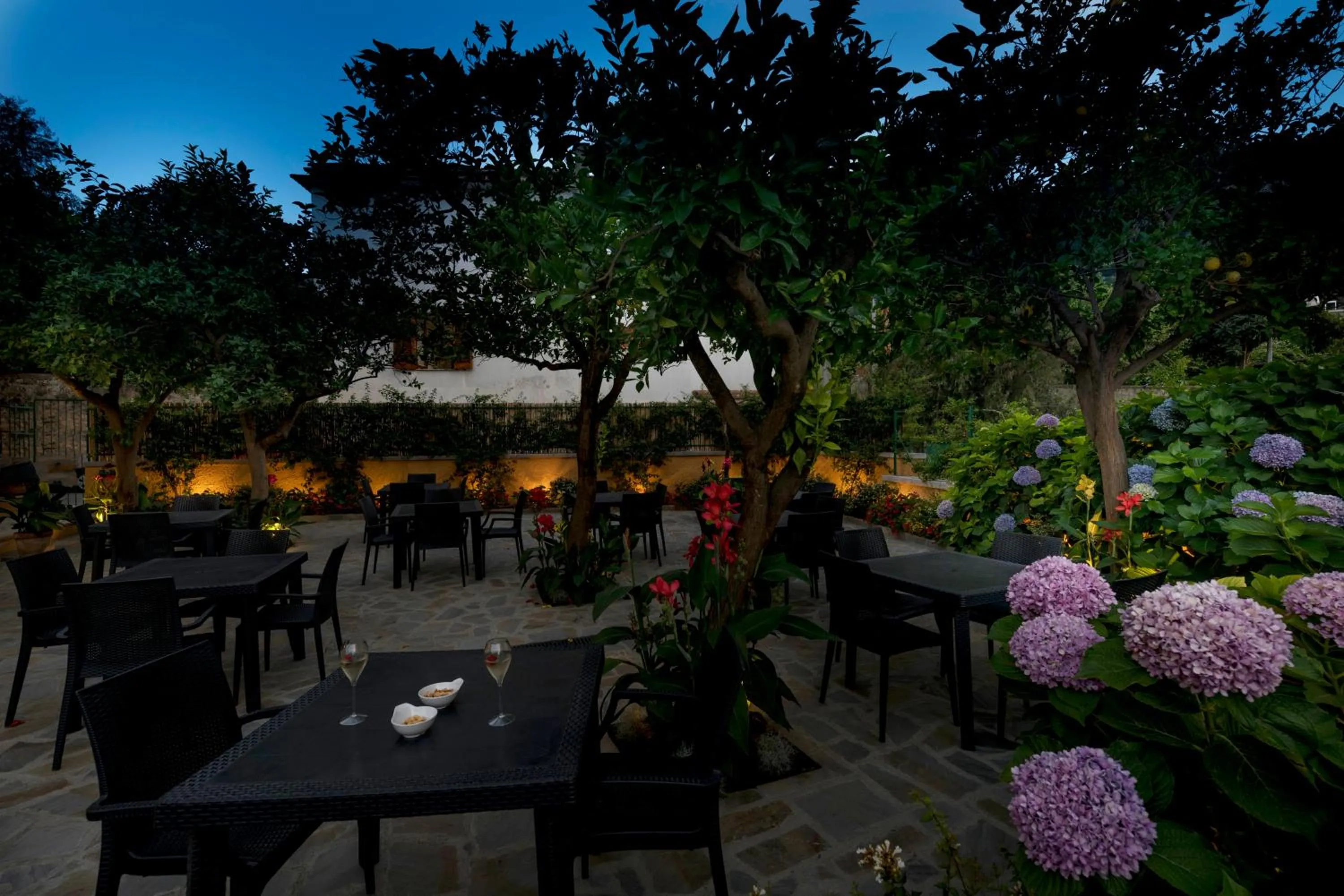 Garden in Hotel Leone