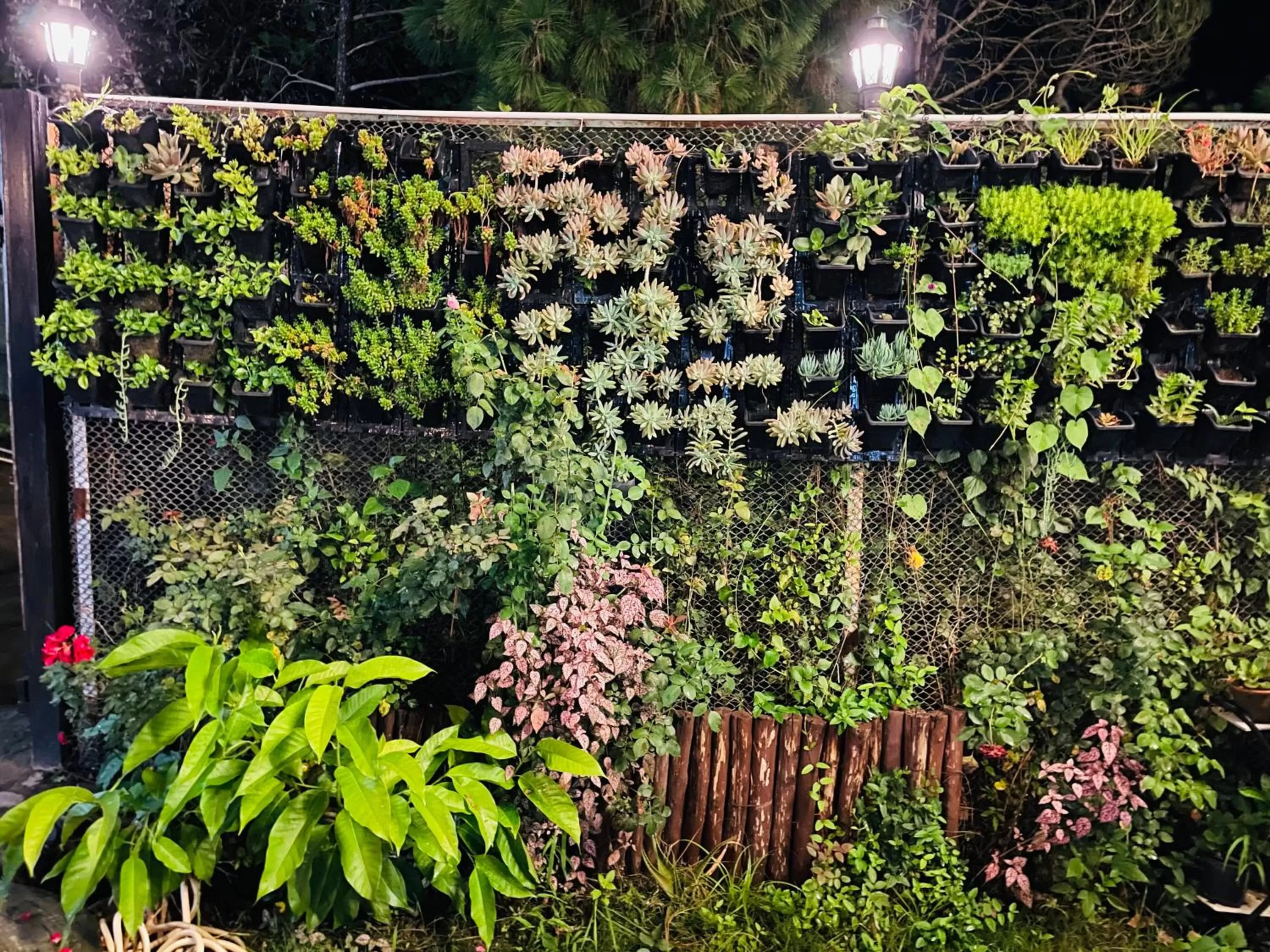 Garden in House of lights