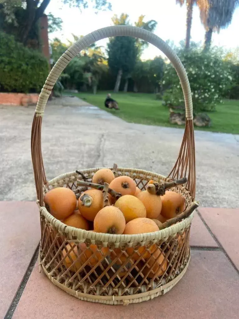 Food in La Casa del Torreón