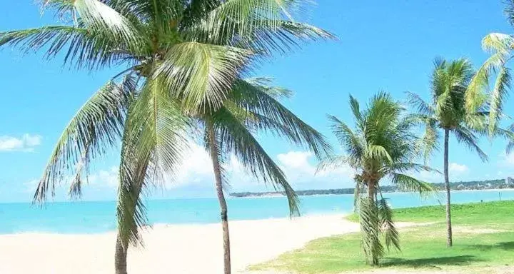 Beach in Netuanah Praia Hotel