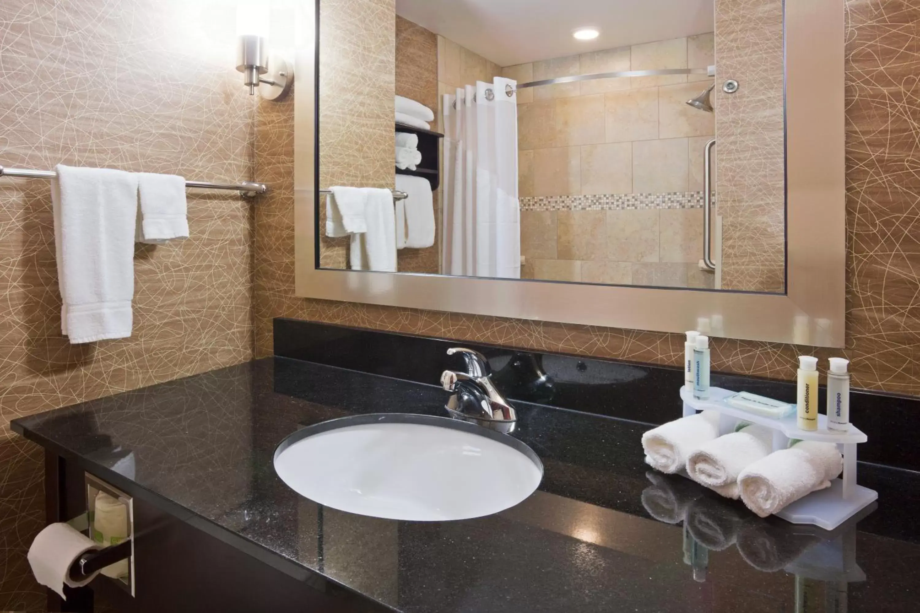 Bathroom in Holiday Inn Express and Suites Rochester West-Medical Center, an IHG Hotel