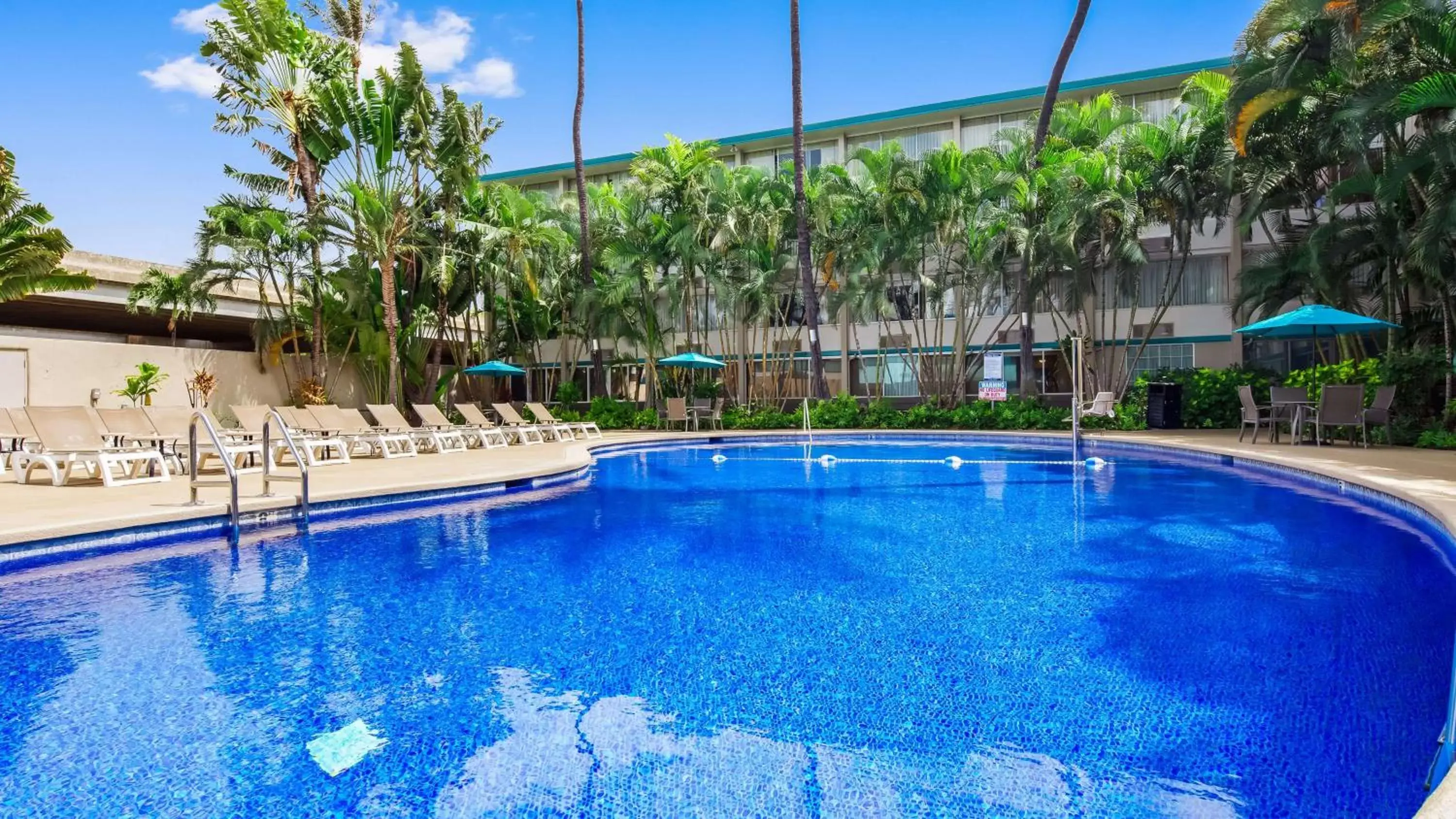 Pool view, Swimming Pool in Airport Honolulu Hotel