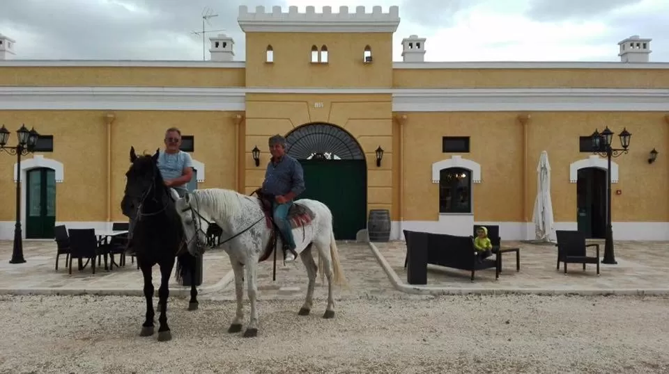 Property building in Tenuta Orsanese