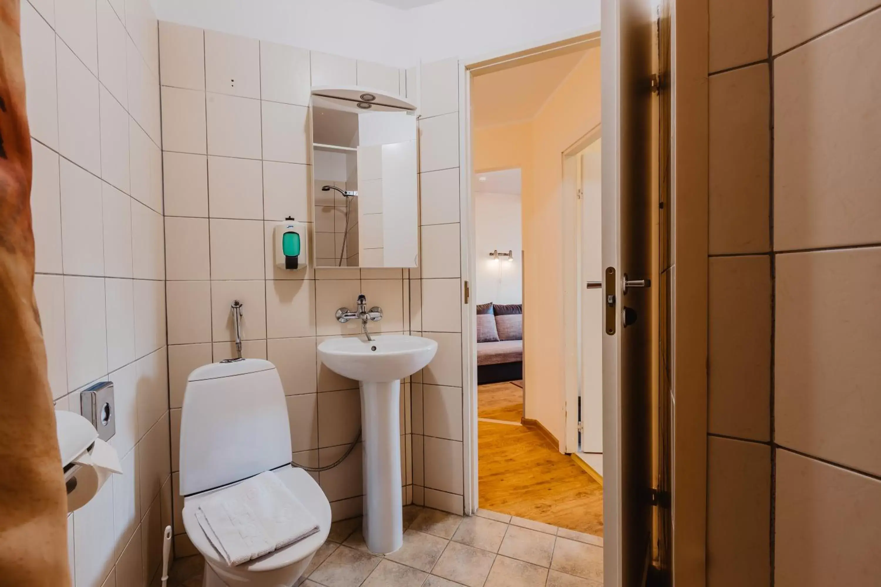 Shower, Bathroom in Aleksandri Hotel