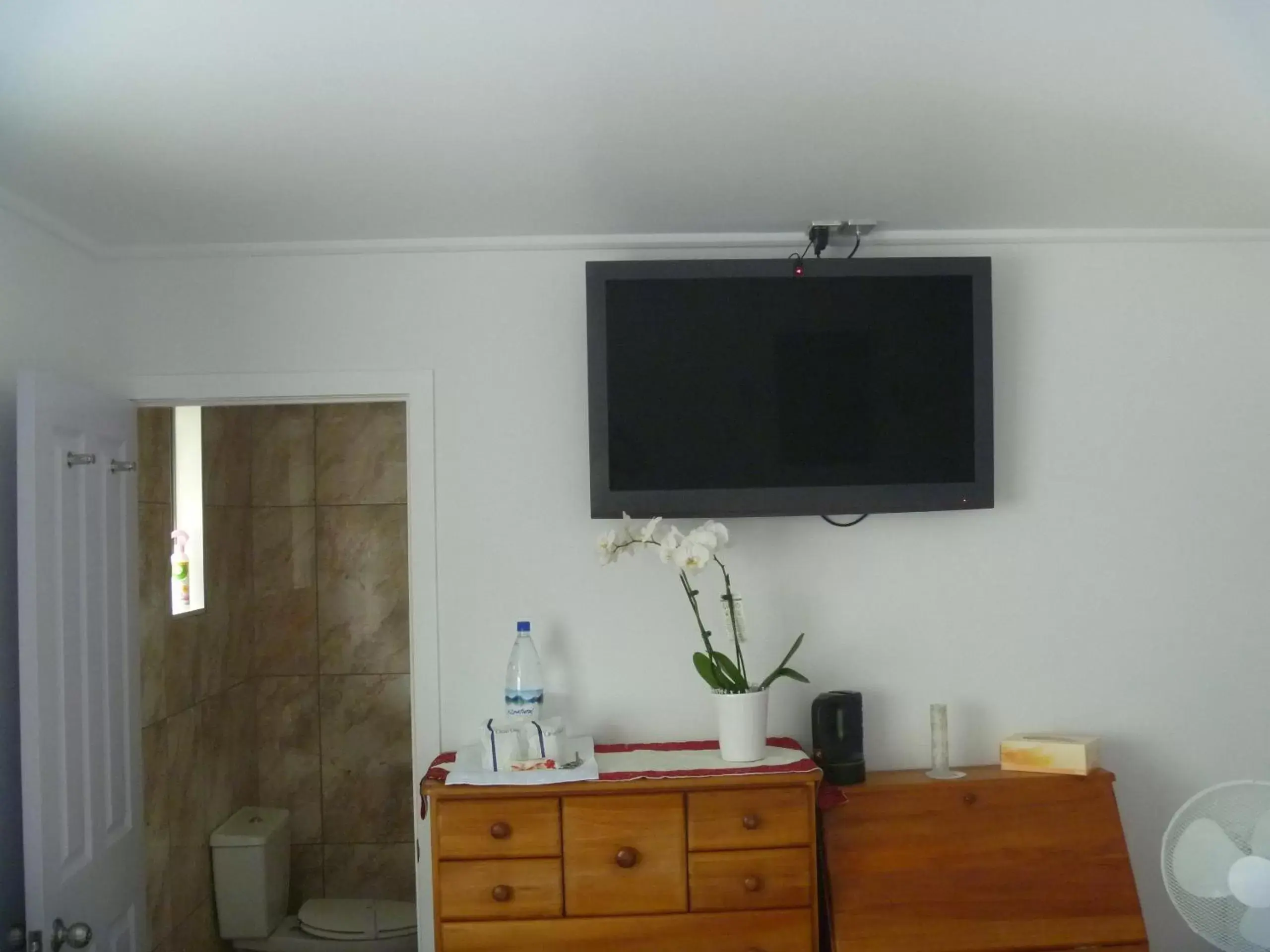 Decorative detail, TV/Entertainment Center in At Parkland Place B&B