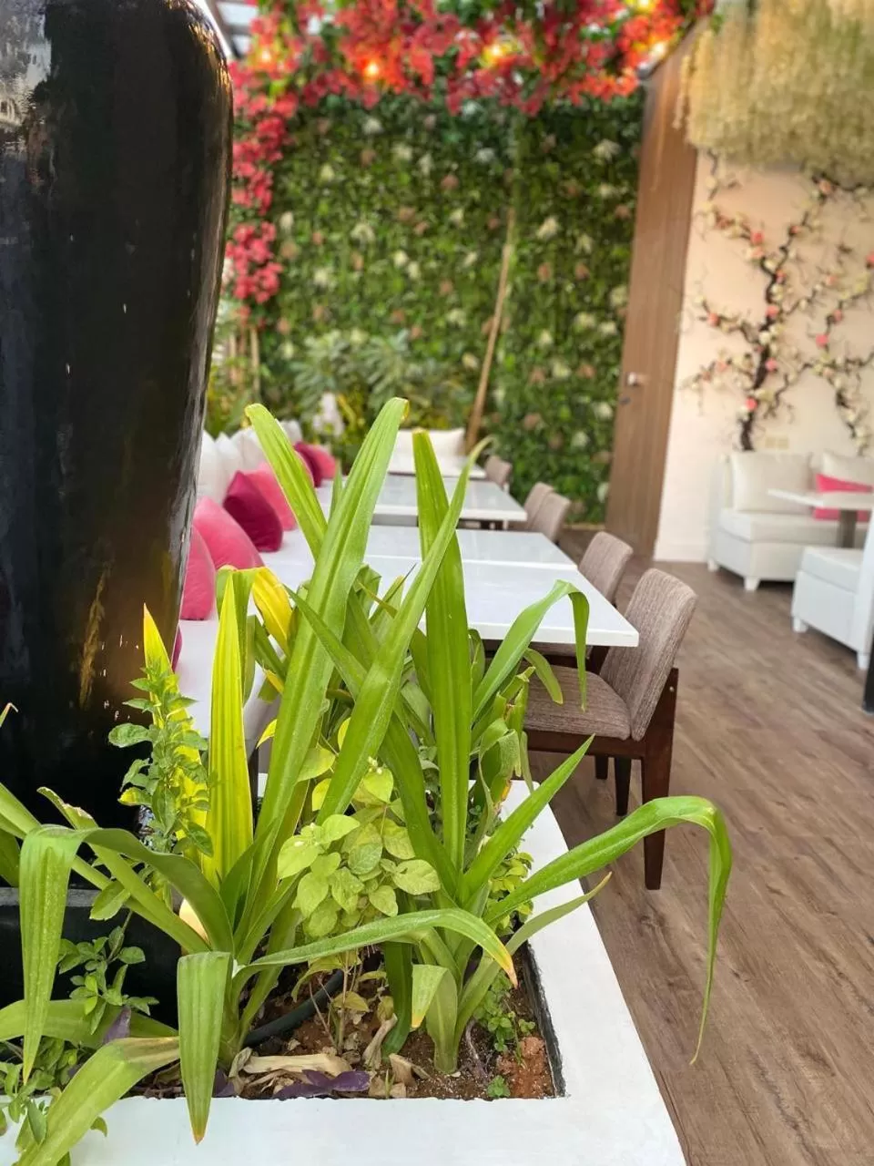 Dana Hotel & Residences