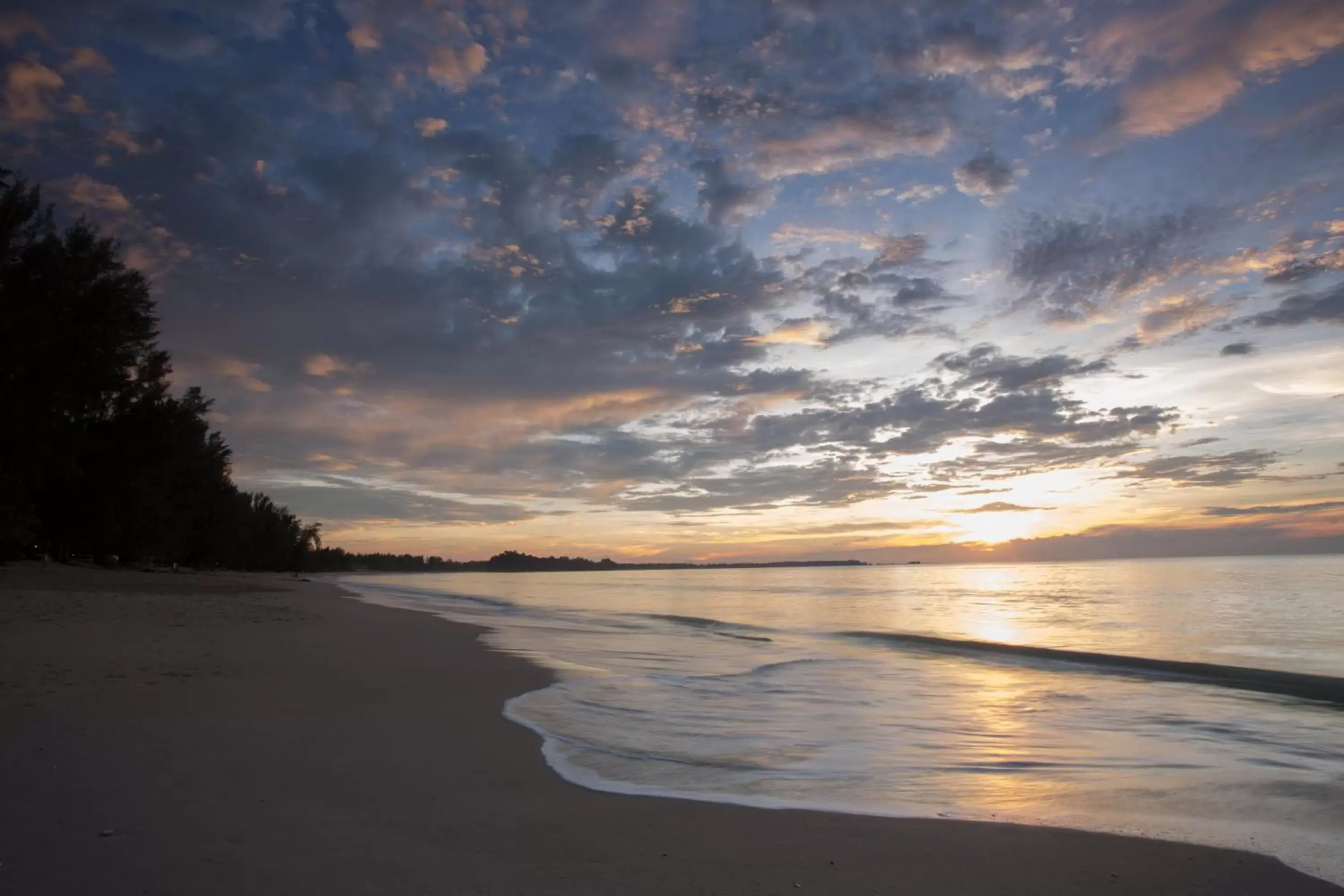 Sea view, Beach in Mai Khaolak Beach Resort & Spa - TUIBLUE Mai Khaolak