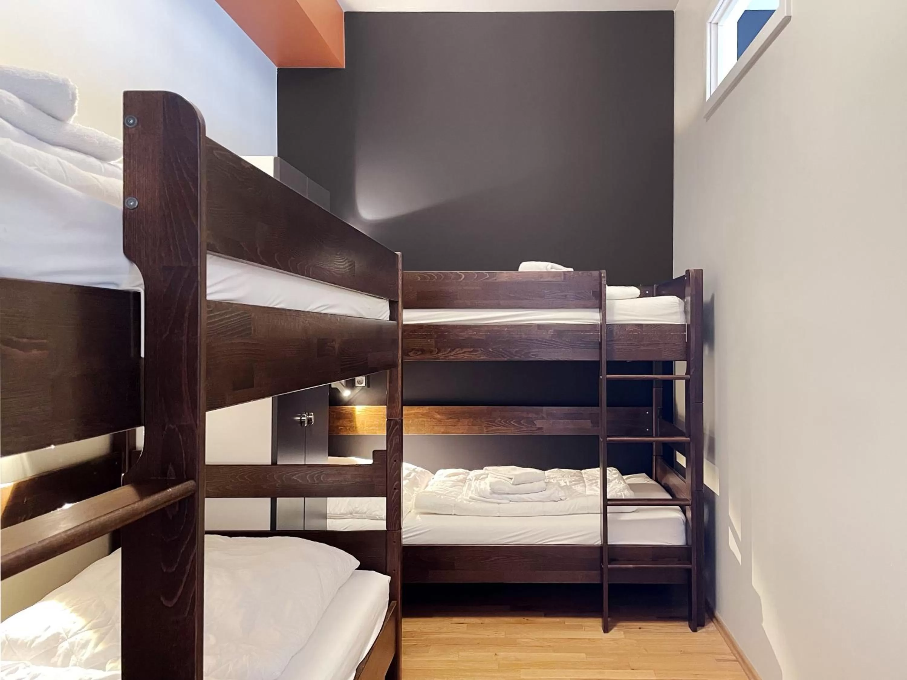 Photo of the whole room, Bed in Five Elements Hostel Leipzig