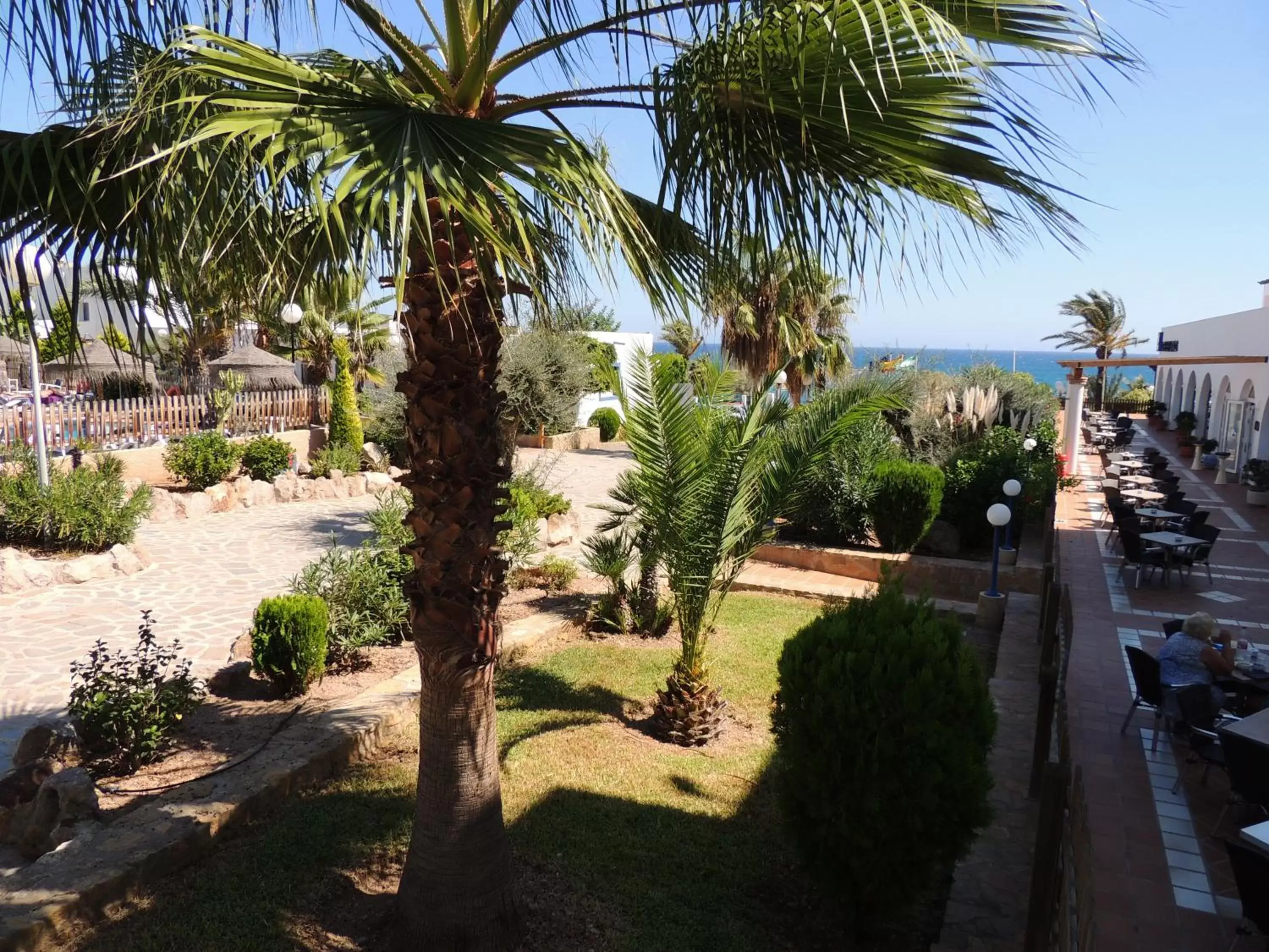 Garden in Hotel Puntazo II