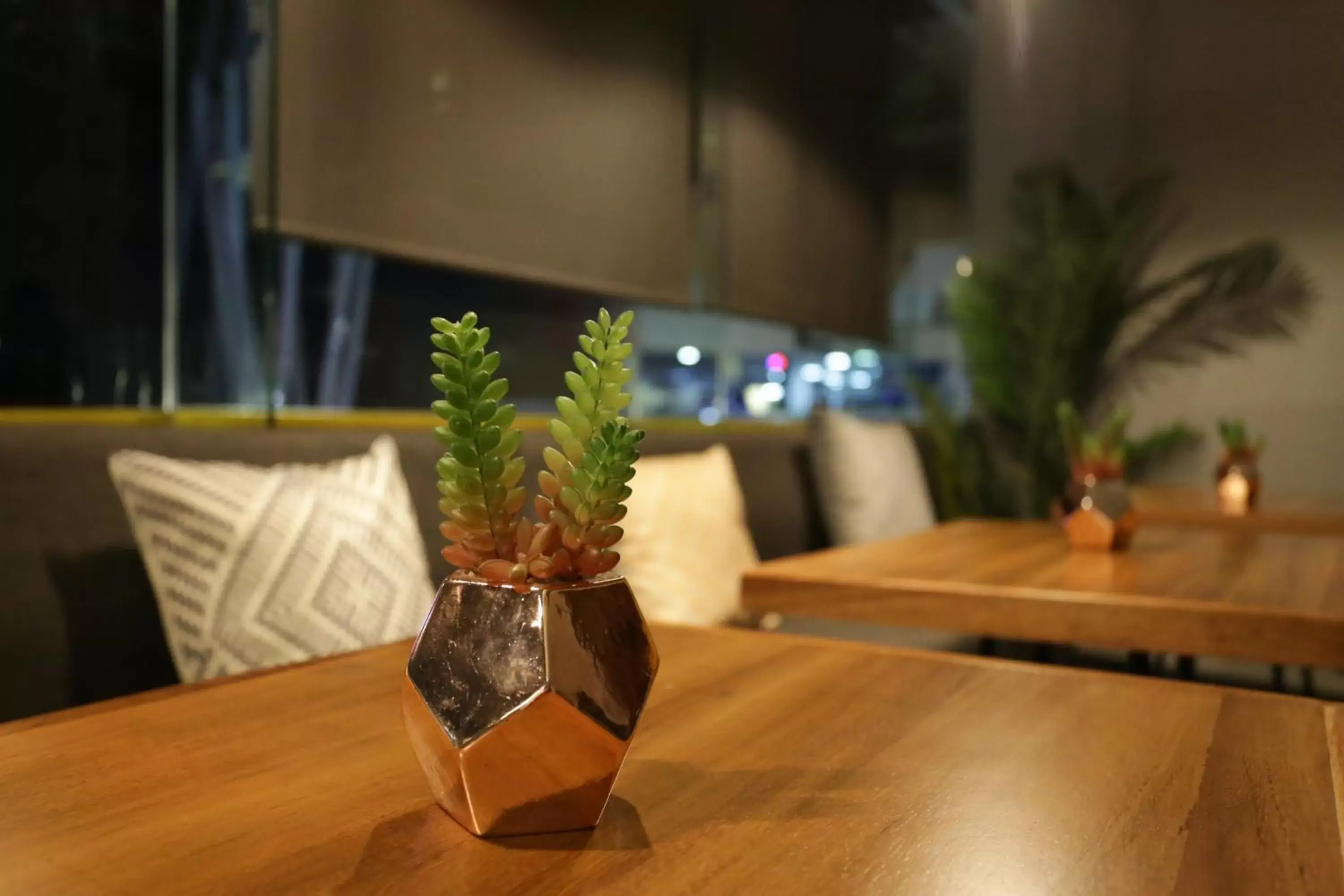 Dining area in The Yellow Capsule Experience