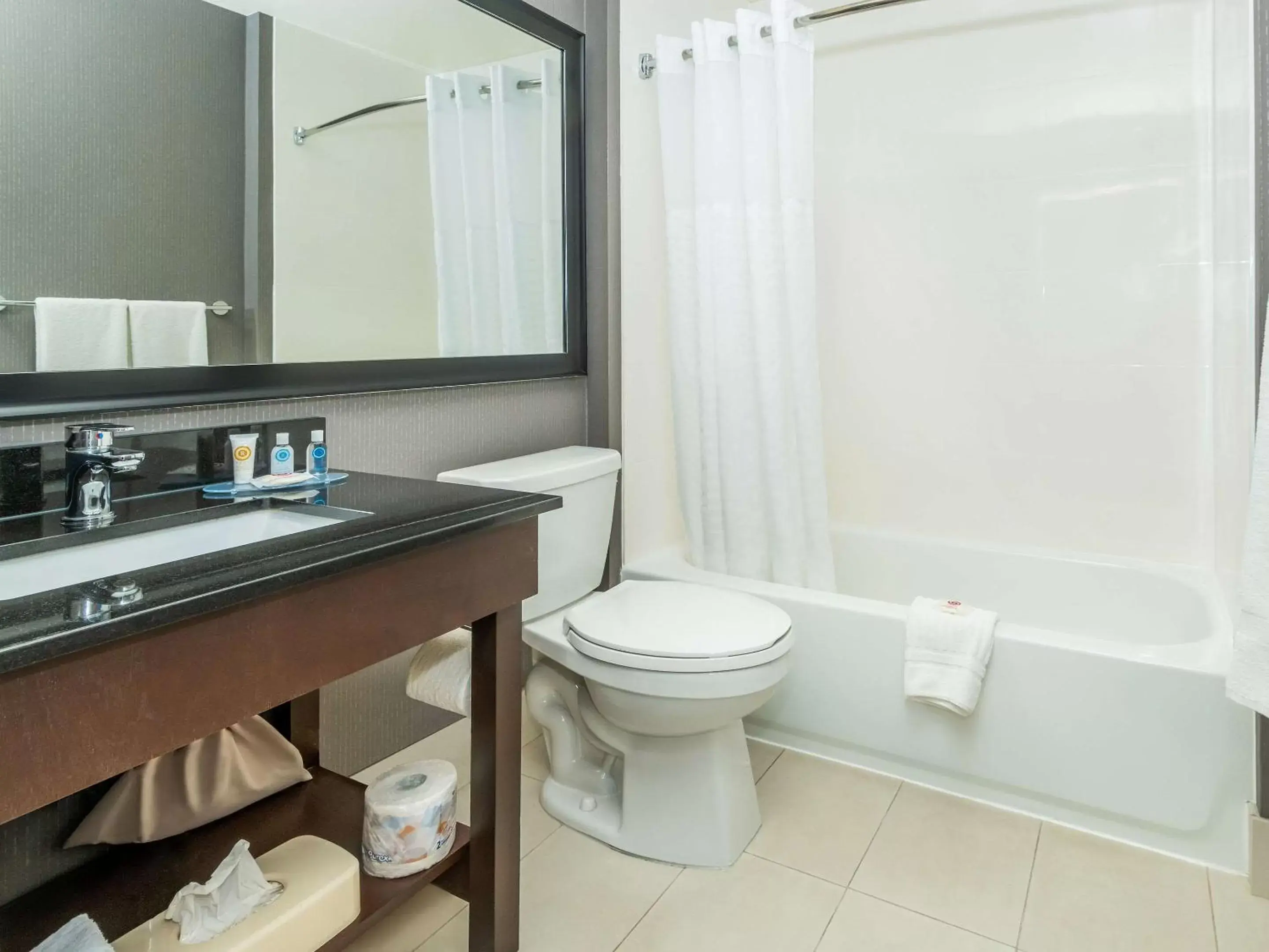 Bathroom in Comfort Inn Ottawa West- Kanata