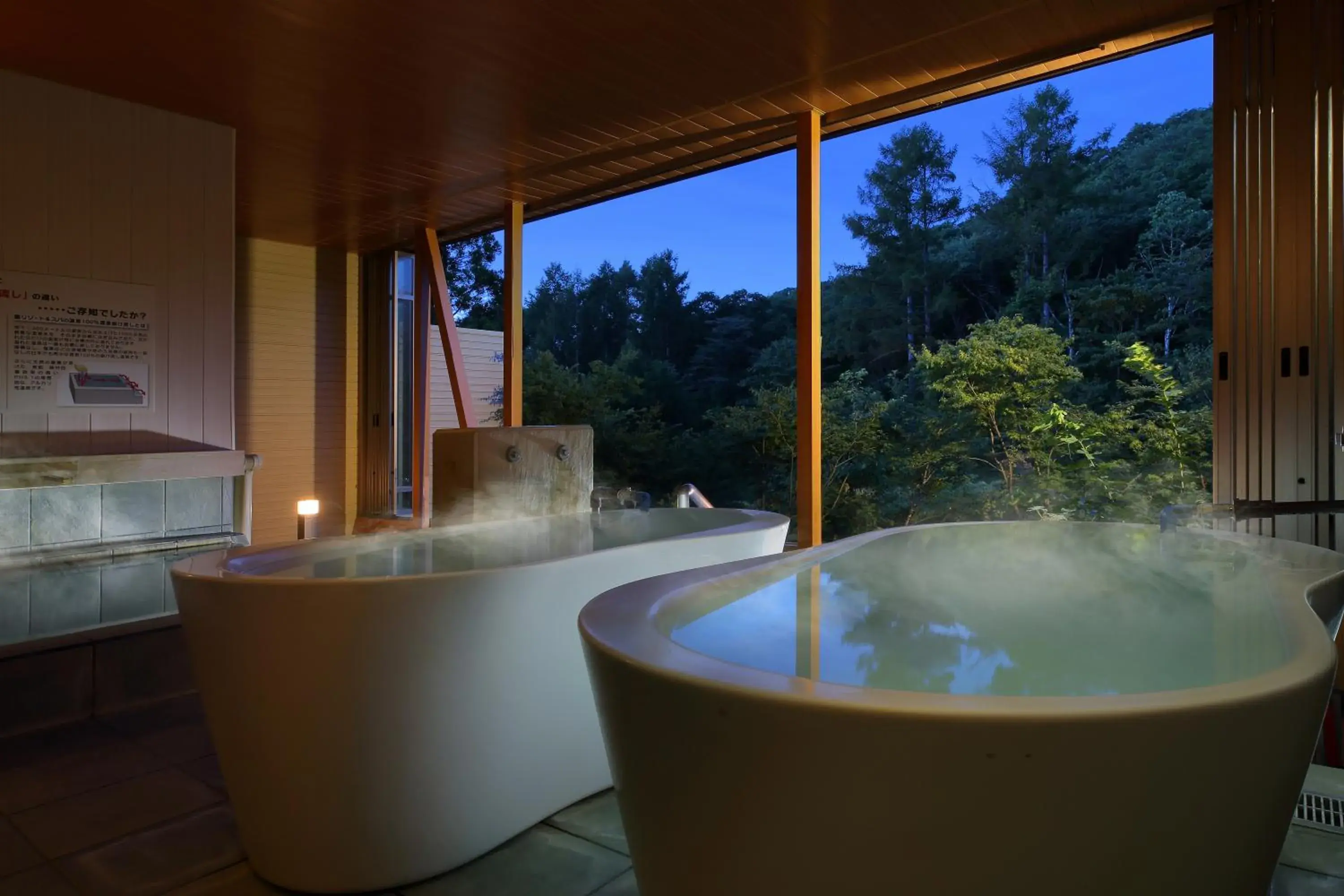 Hot Spring Bath in Hotel Ryu Resort and Spa