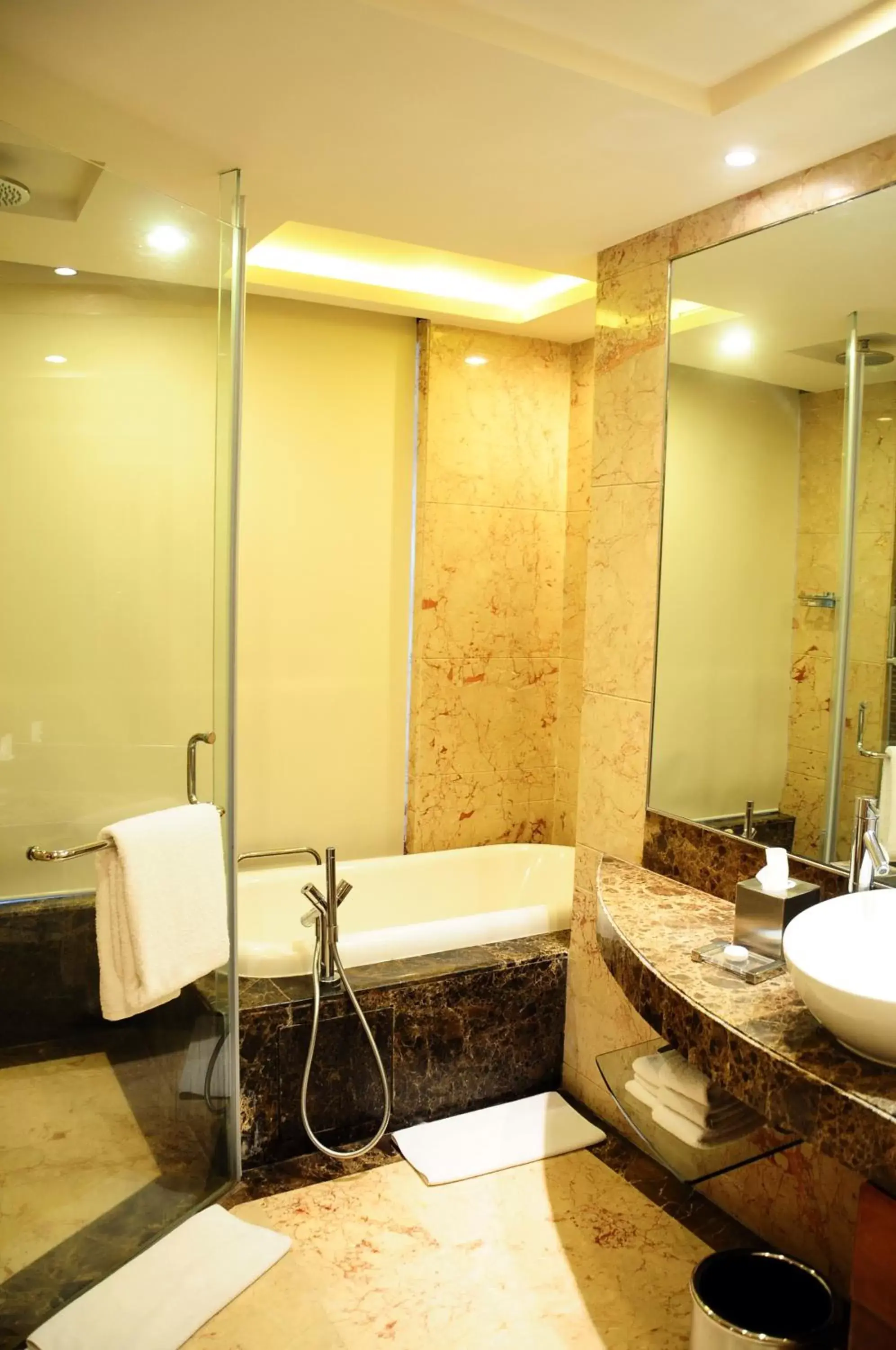 Bathroom in Radisson Blu Plaza Delhi Airport