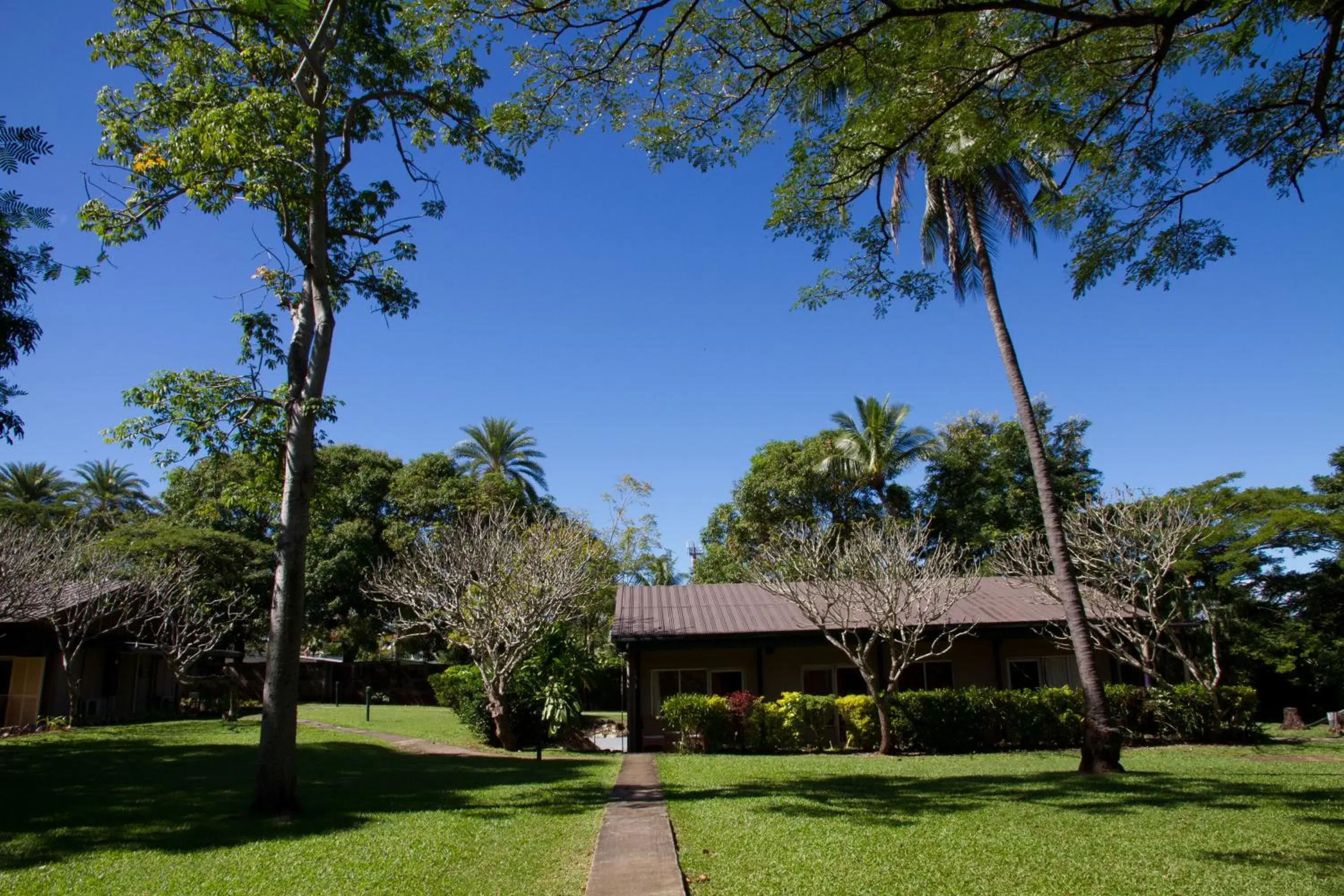 Standard Double Room in Tanoa Skylodge