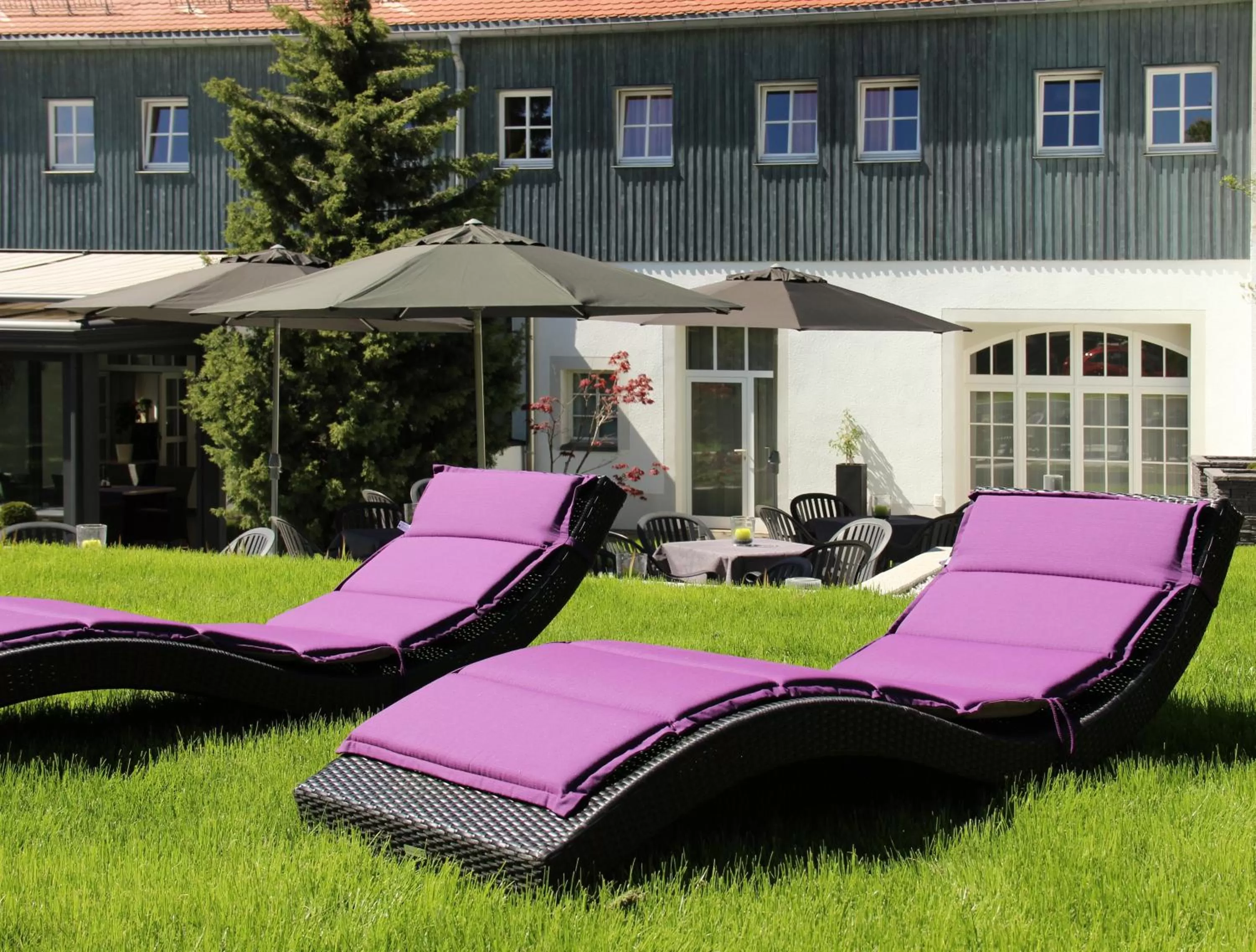 Garden in Hotel Maucksches Gut