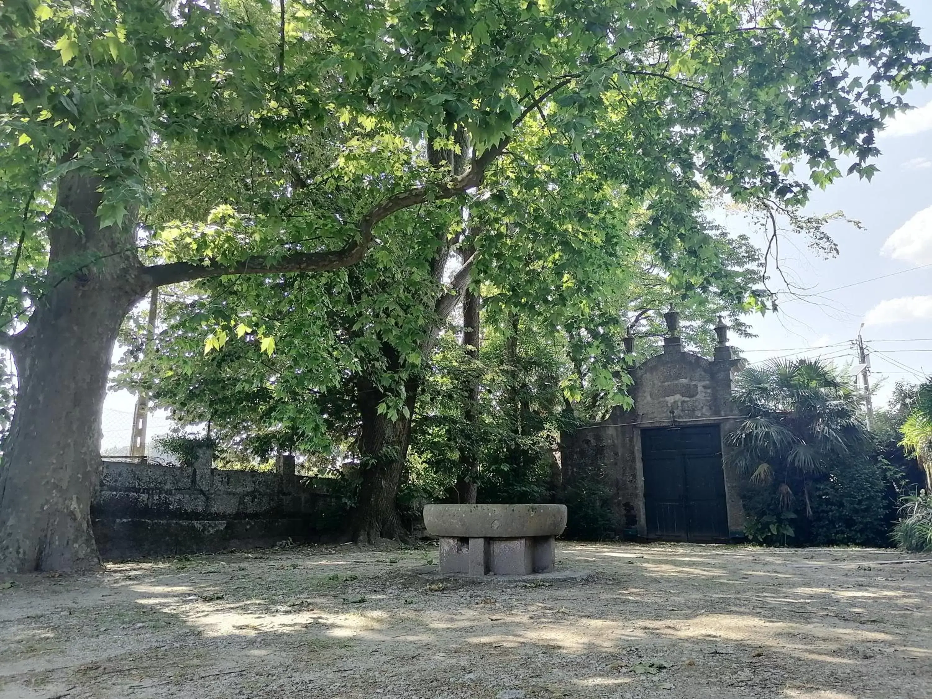 Parking, Garden in Camelia Rooms