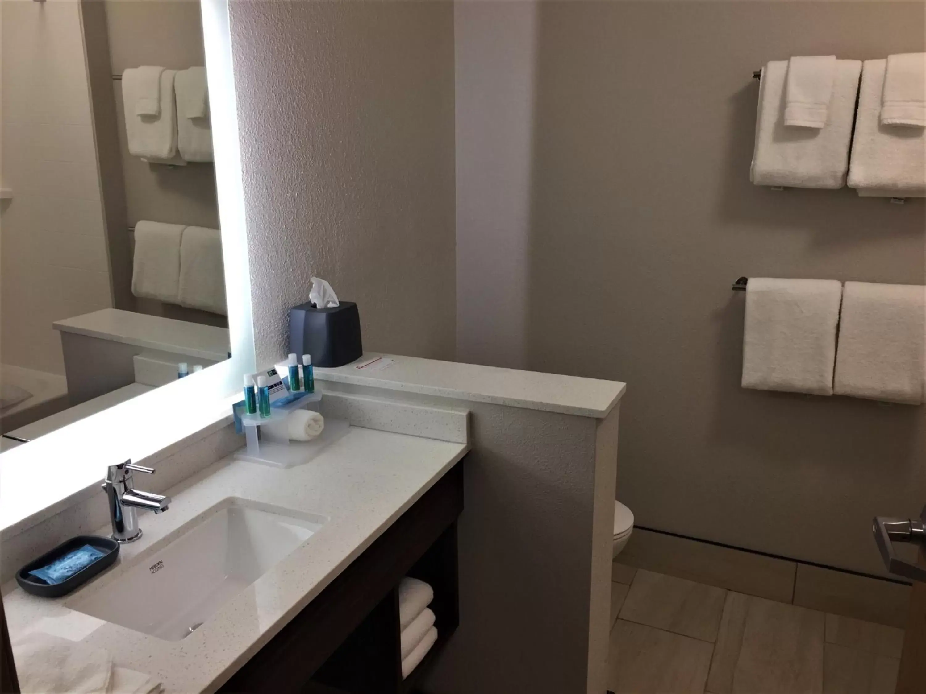 Photo of the whole room, Bathroom in Holiday Inn Express & Suites Danville, an IHG Hotel