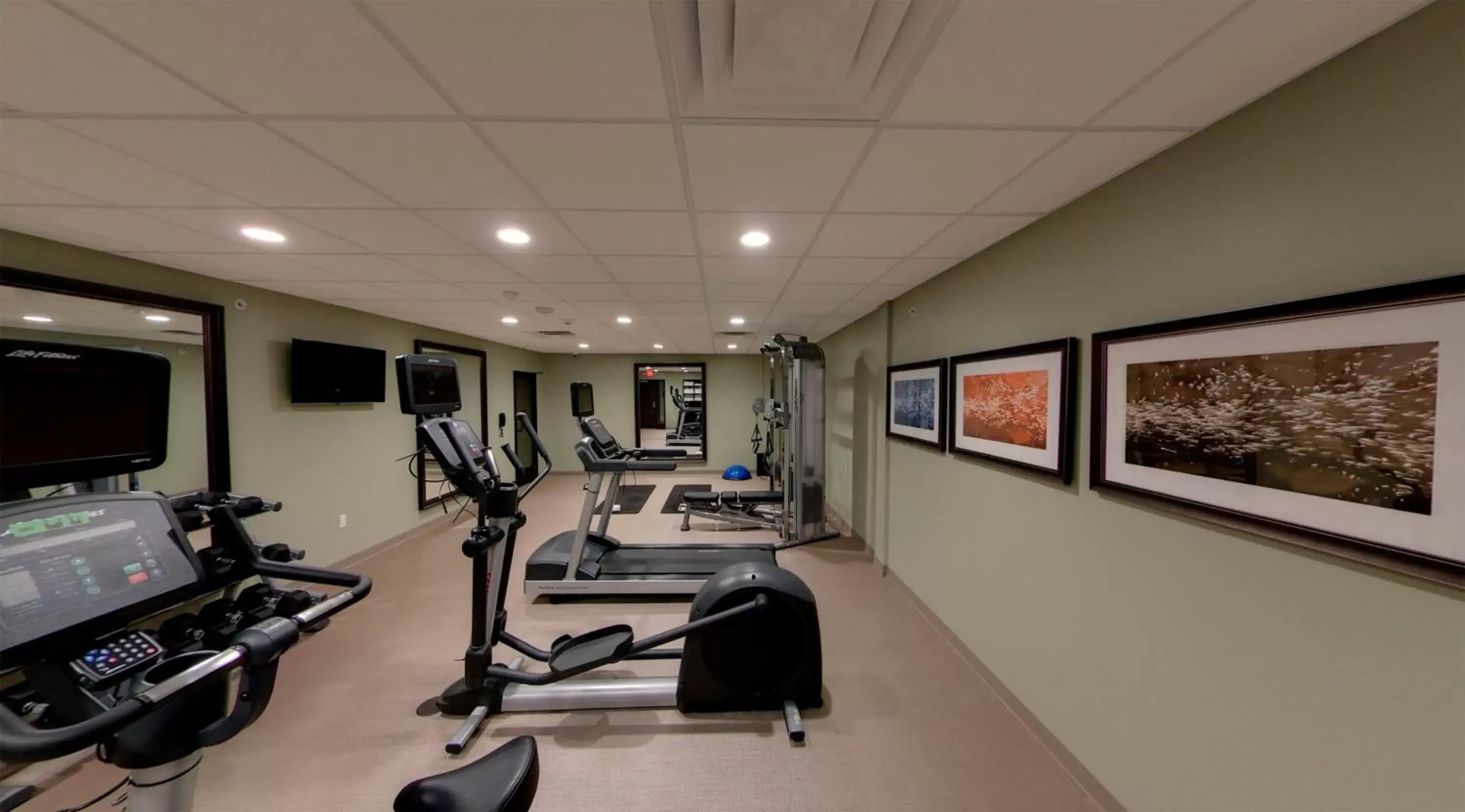 Fitness centre/facilities, Fitness Center/Facilities in Staybridge Suites Ann Arbor - Research Parkway, an IHG Hotel