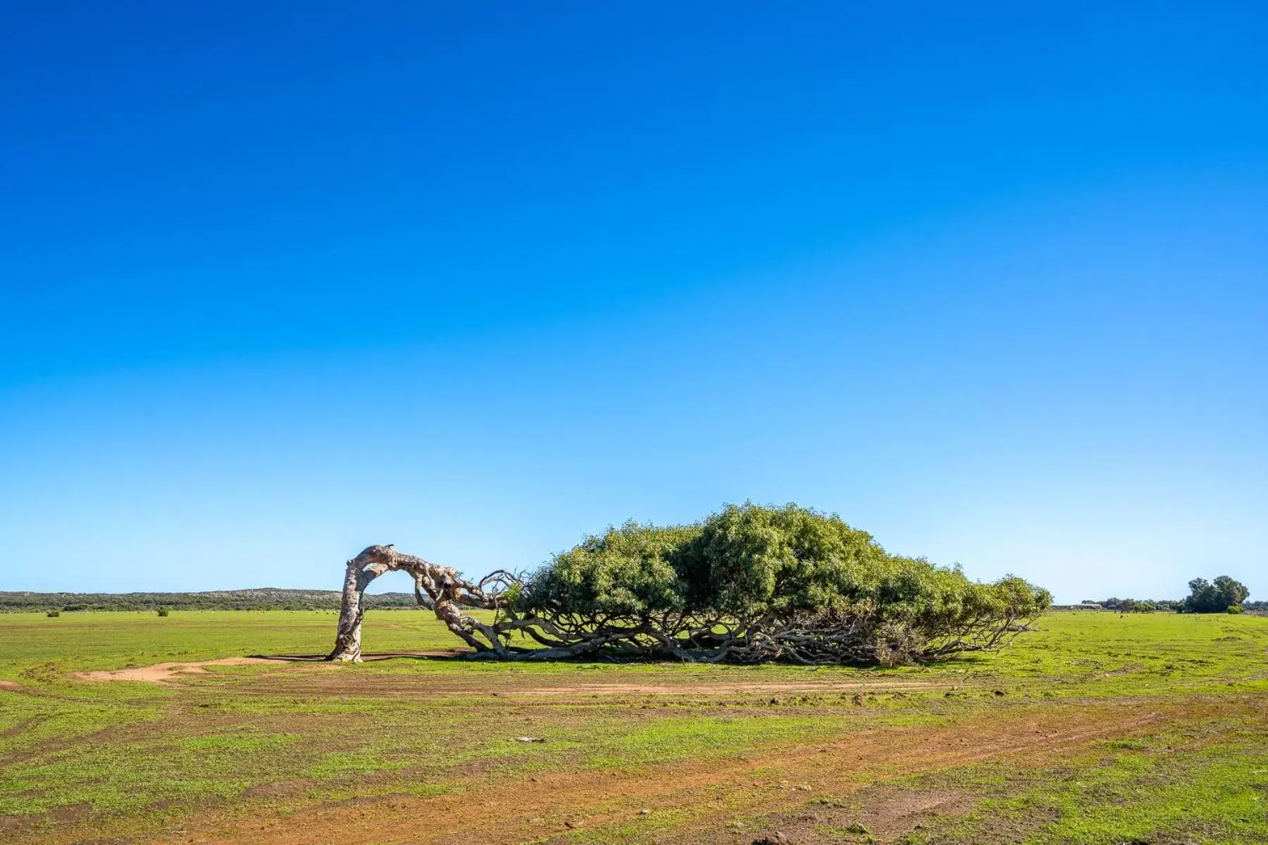 Nearby landmark, Garden in Hospitality Geraldton SureStay Collection by Best Western