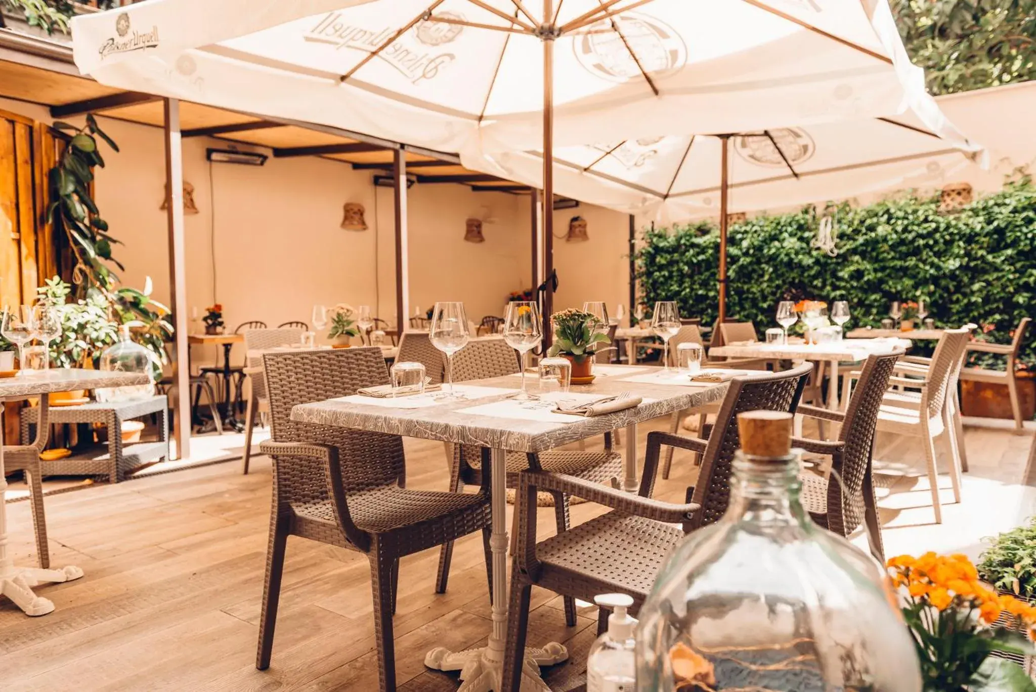 Garden, Restaurant/Places to Eat in Hotel Cimabue