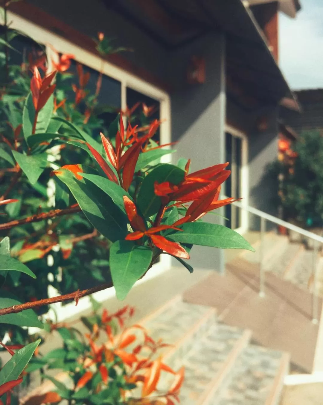 Boutique Family Room Phitsanulok