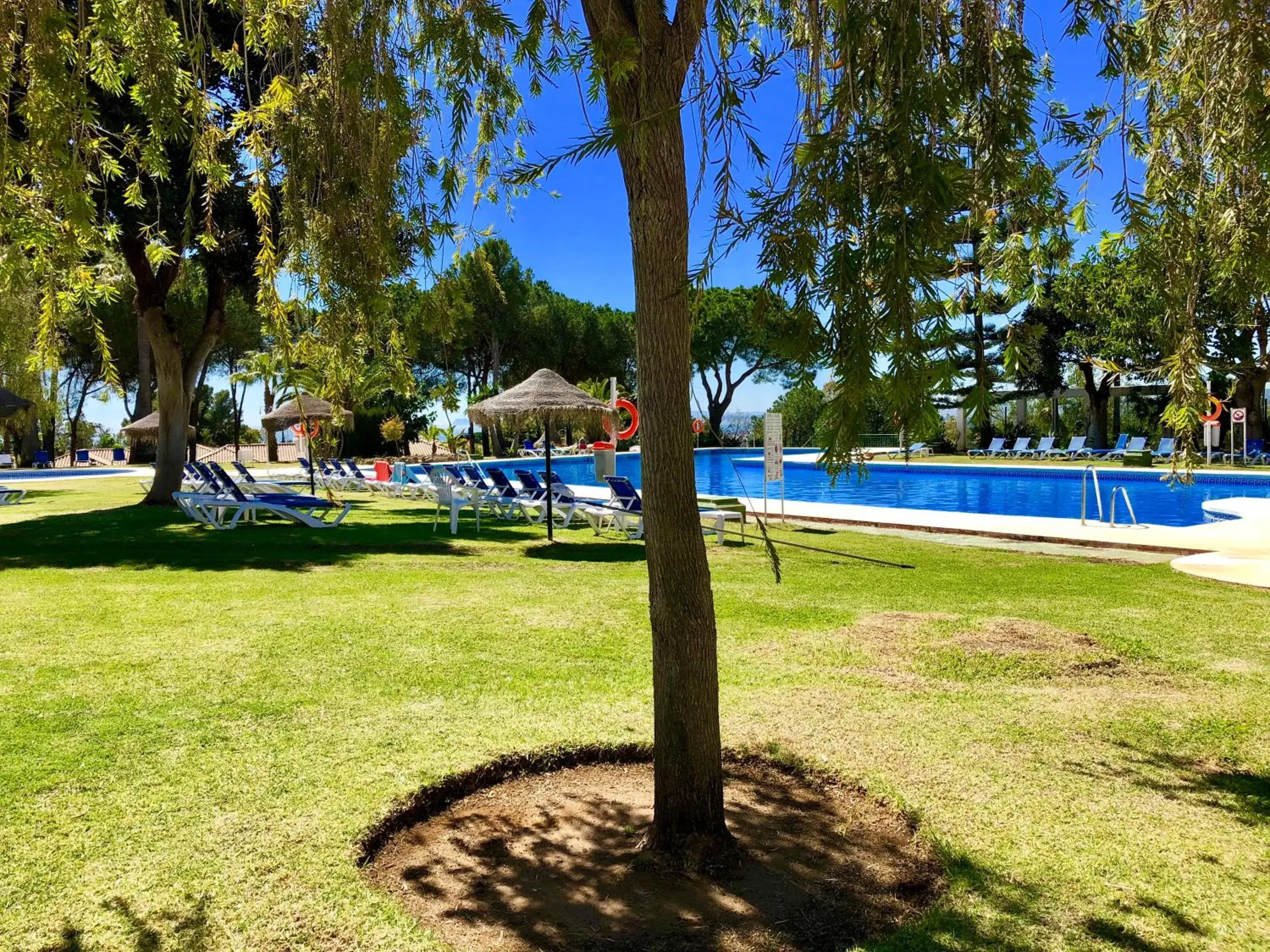 Garden, Swimming Pool in TRH Paraíso