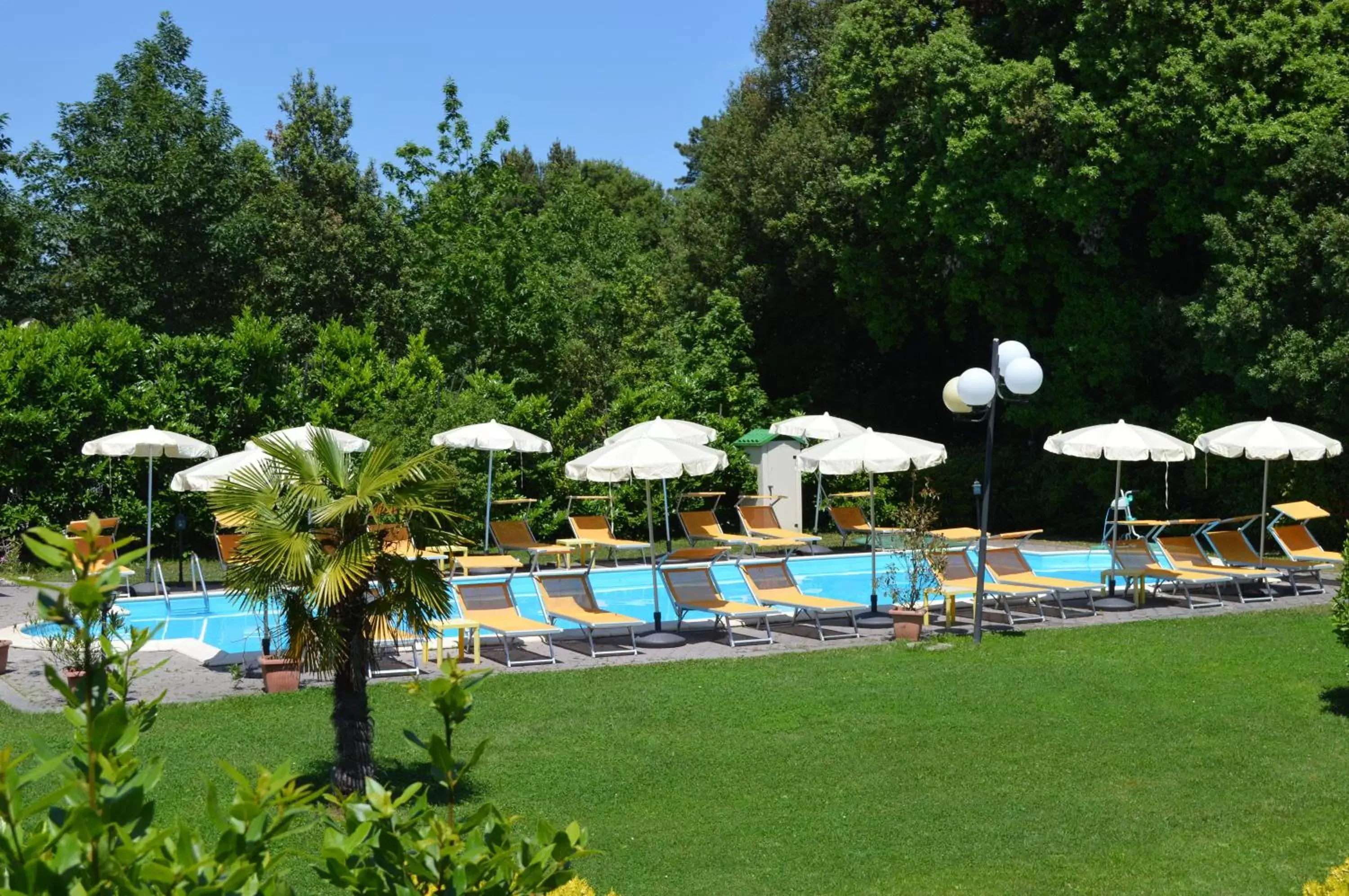 Garden, Swimming Pool in Hotel Monti