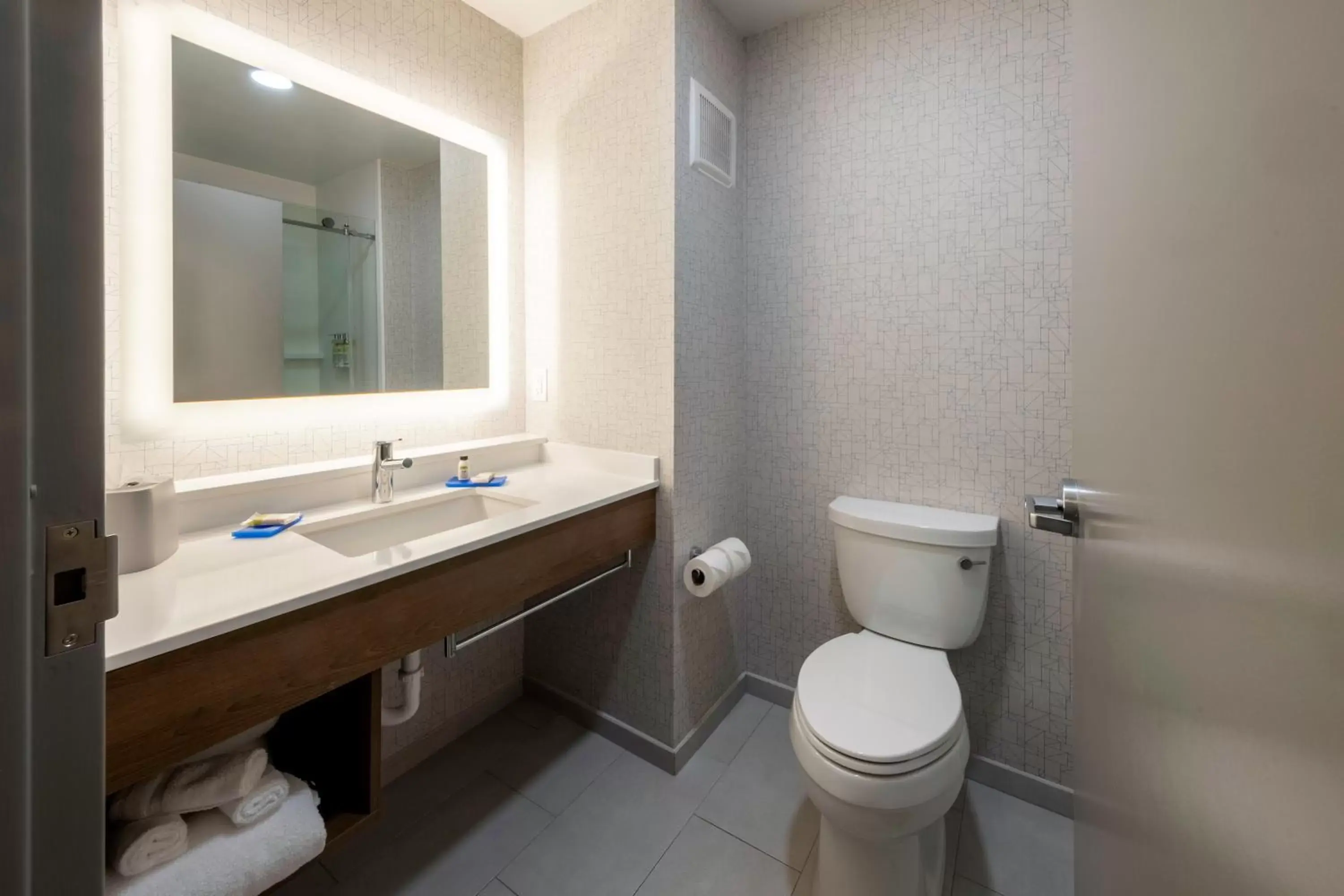 Bathroom in Holiday Inn Express Hotel & Suites Petersburg/Dinwiddie, an IHG Hotel