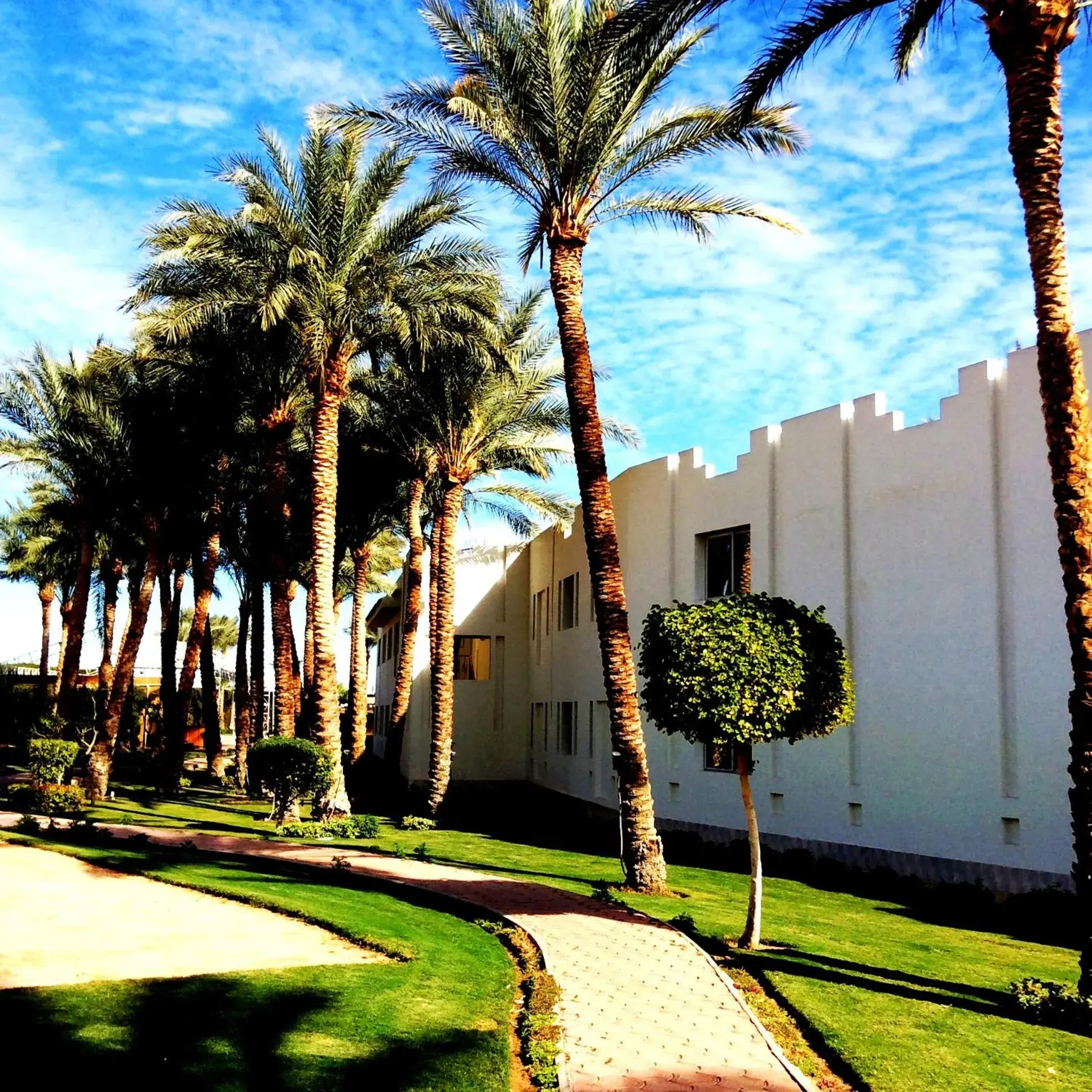 Garden view in Xperience St. George Sharm El Sheikh Garden view in Xperience St. George Sharm El Sheikh