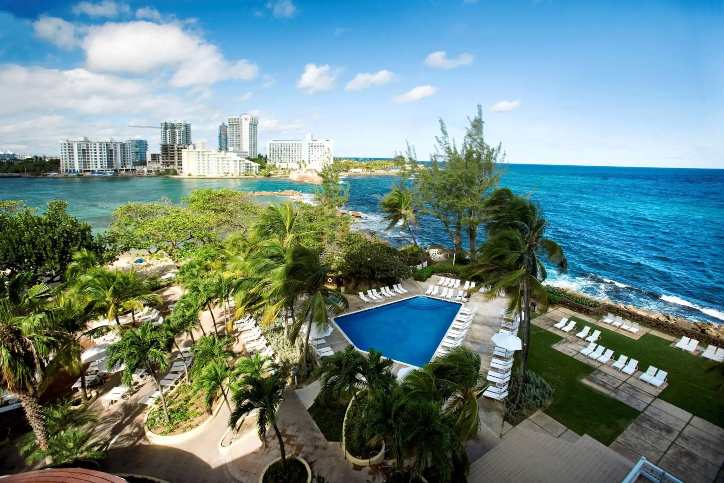 Pool View in The Condado Plaza Hilton