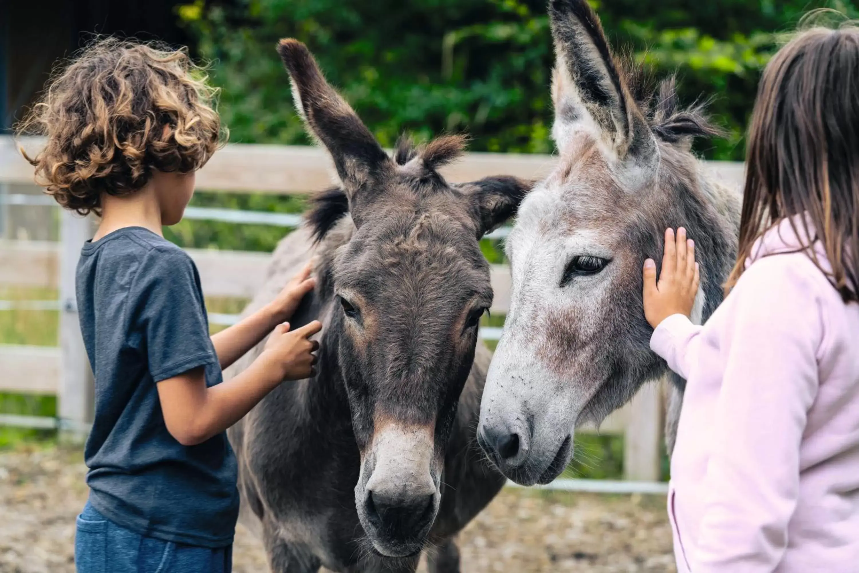 Day, Other Animals in Center Parcs Villages Nature Paris