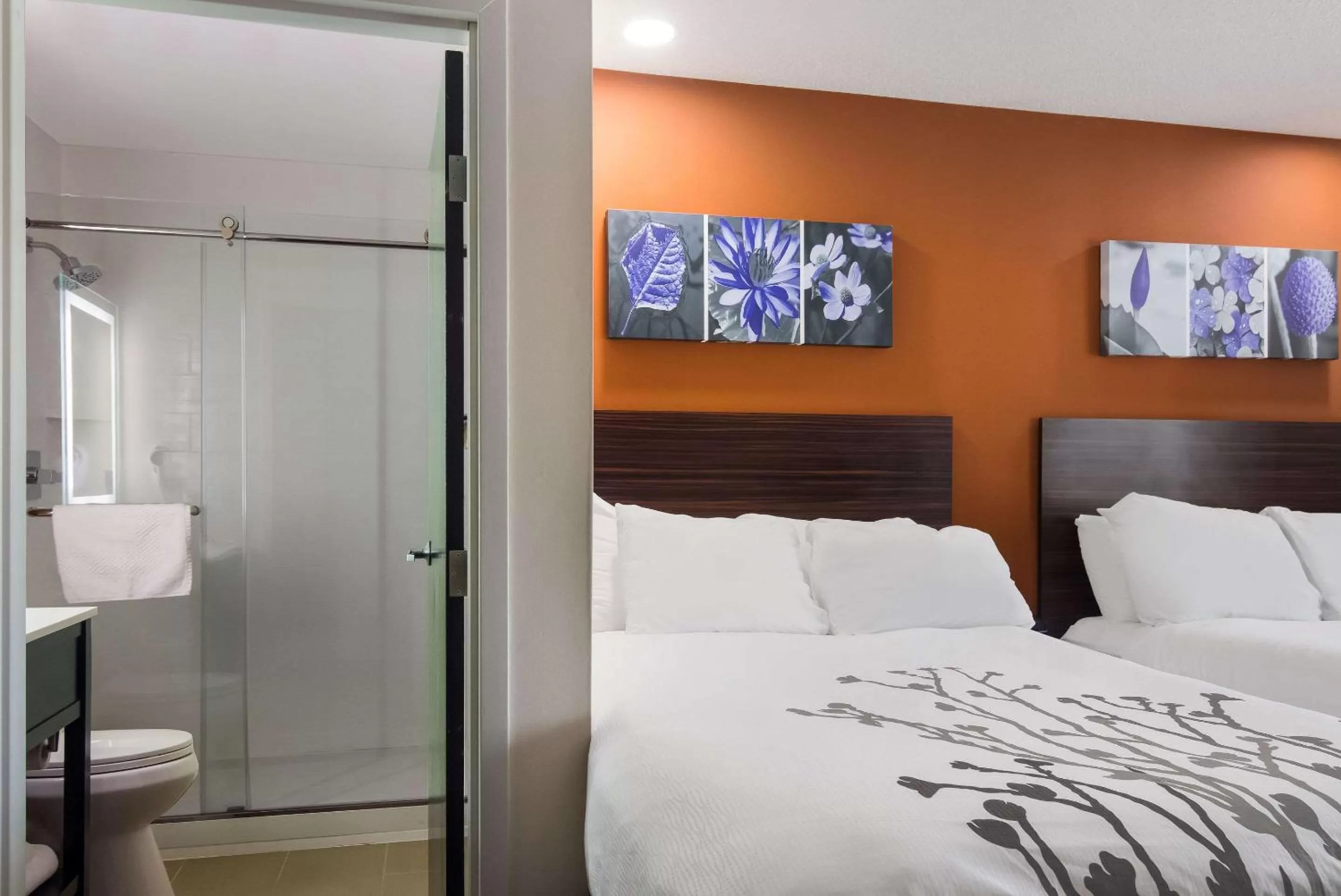 Bedroom, Bed in Sleep Inn Erie near Sports Center