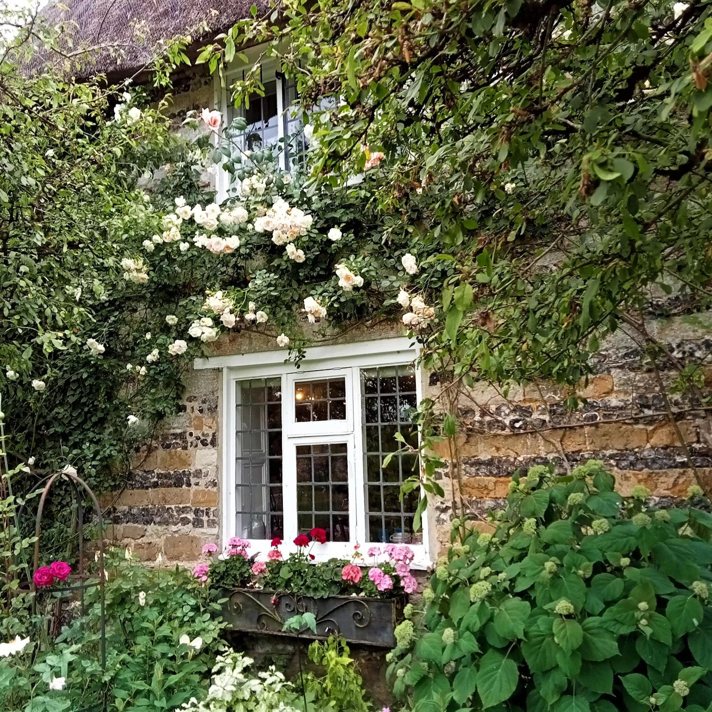 Property building in Tudor Cottage B&B Frampton
