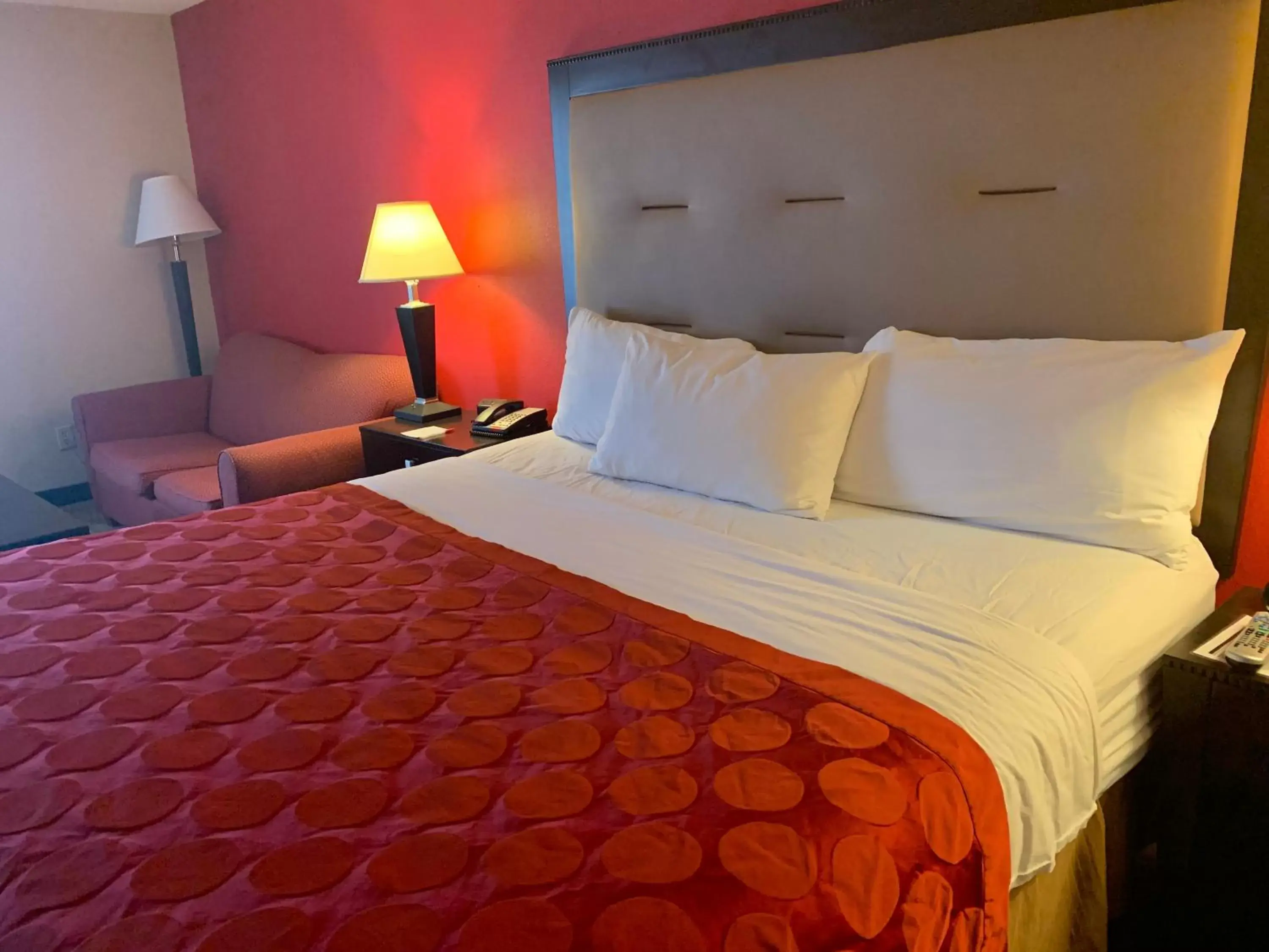 Photo of the whole room, Bed in Ramada by Wyndham Gainesville